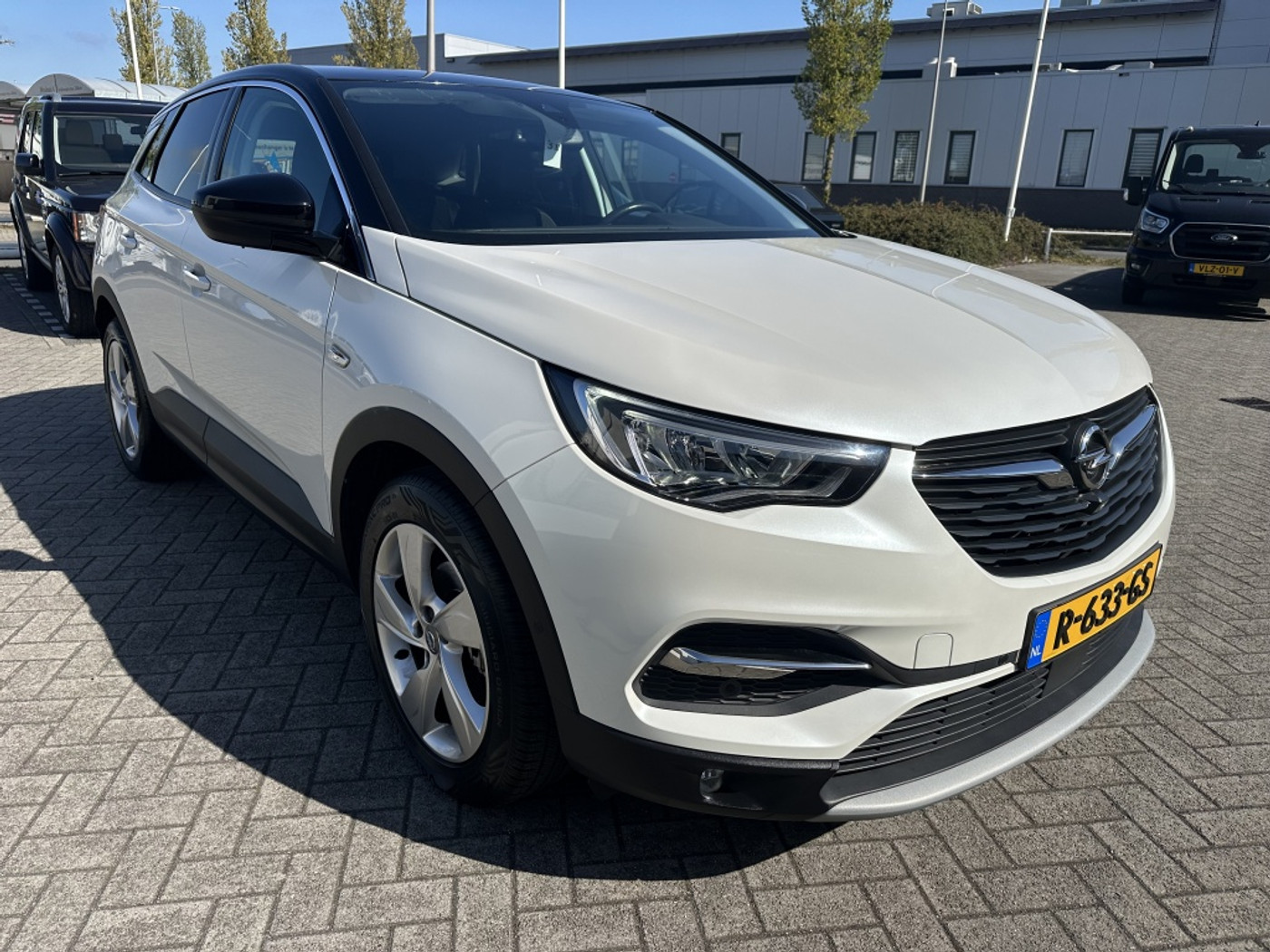 Foto van Opel Grandland X