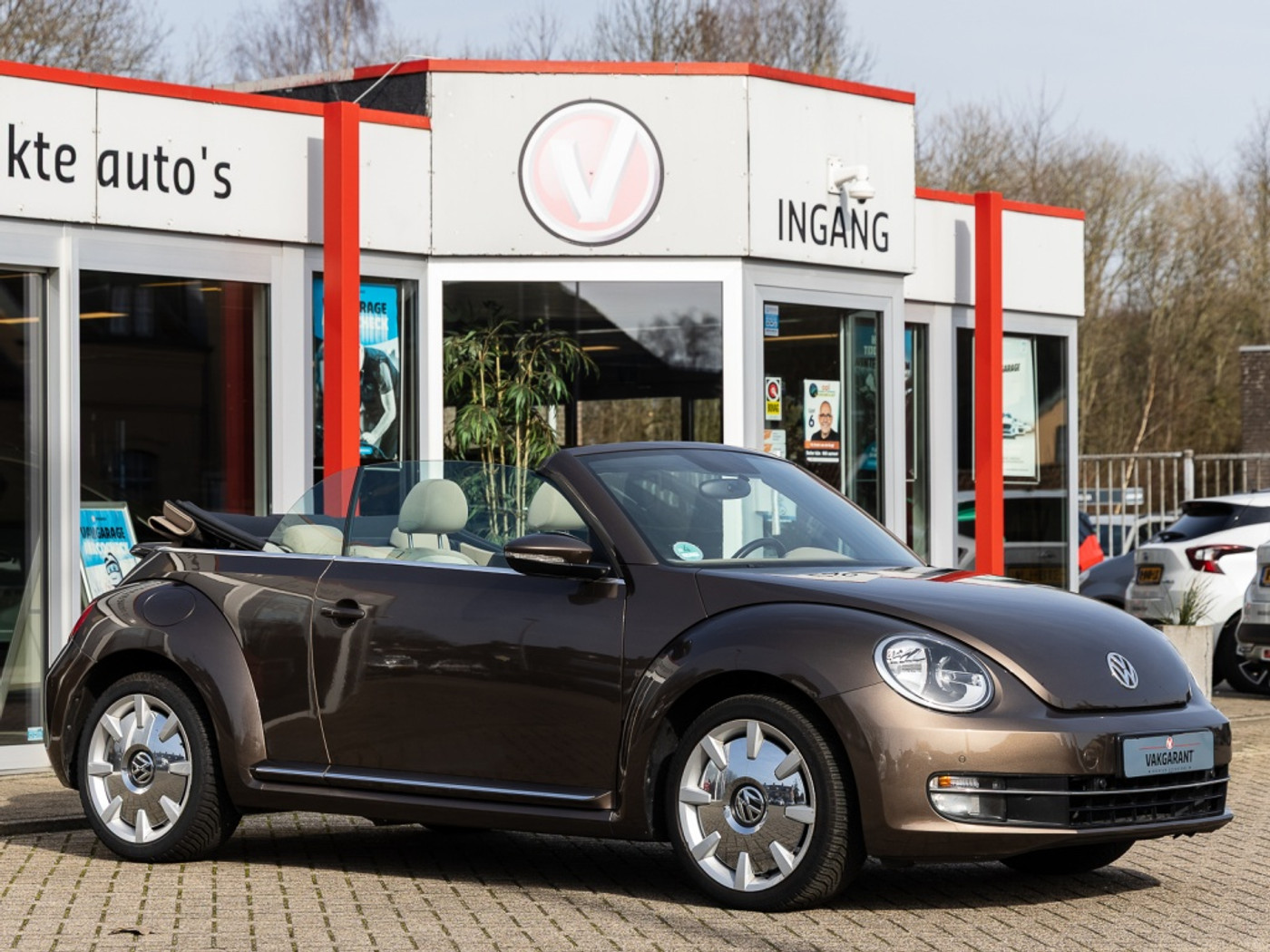Foto van Volkswagen Beetle