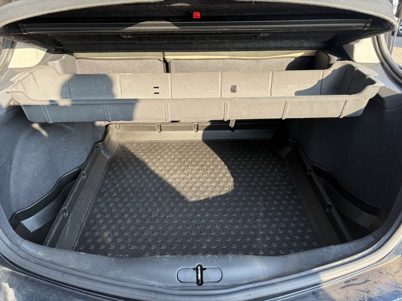 Foto van Renault Vel Satis