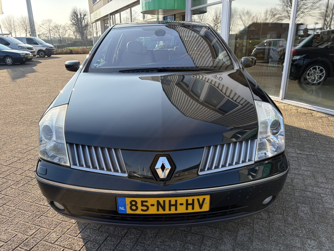 Foto van Renault Vel Satis