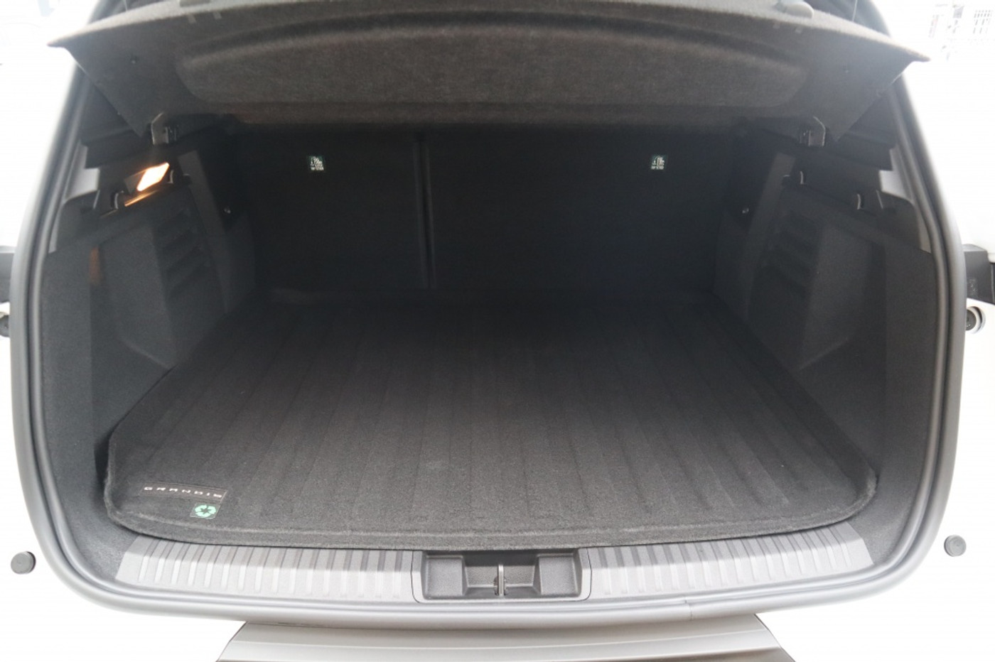 Foto van Mitsubishi Grandis