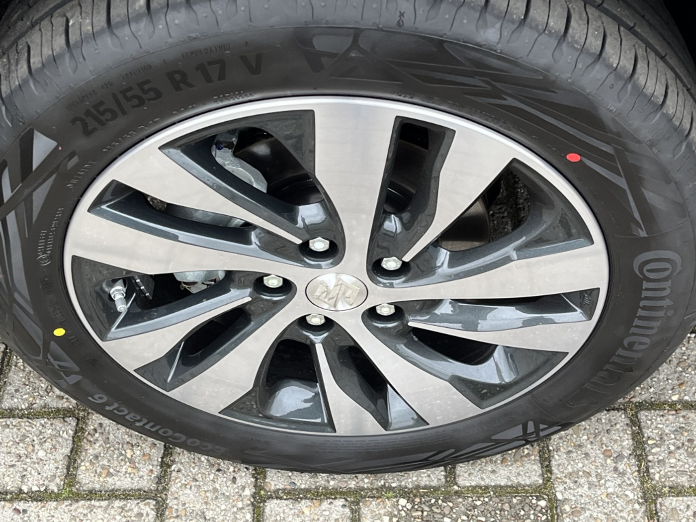 Foto van Suzuki S-cross