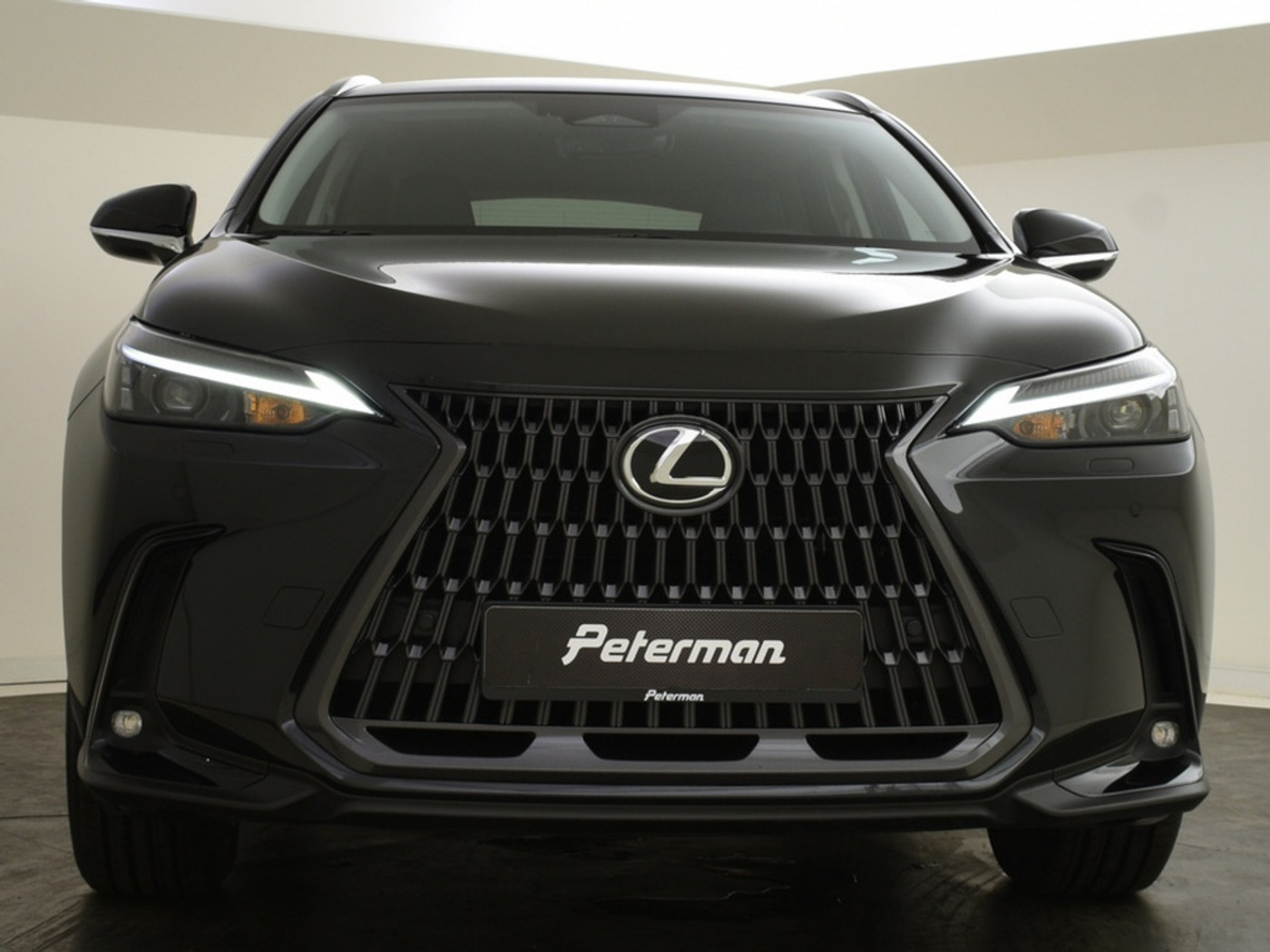 Foto van Lexus Lexus Nx450h+
