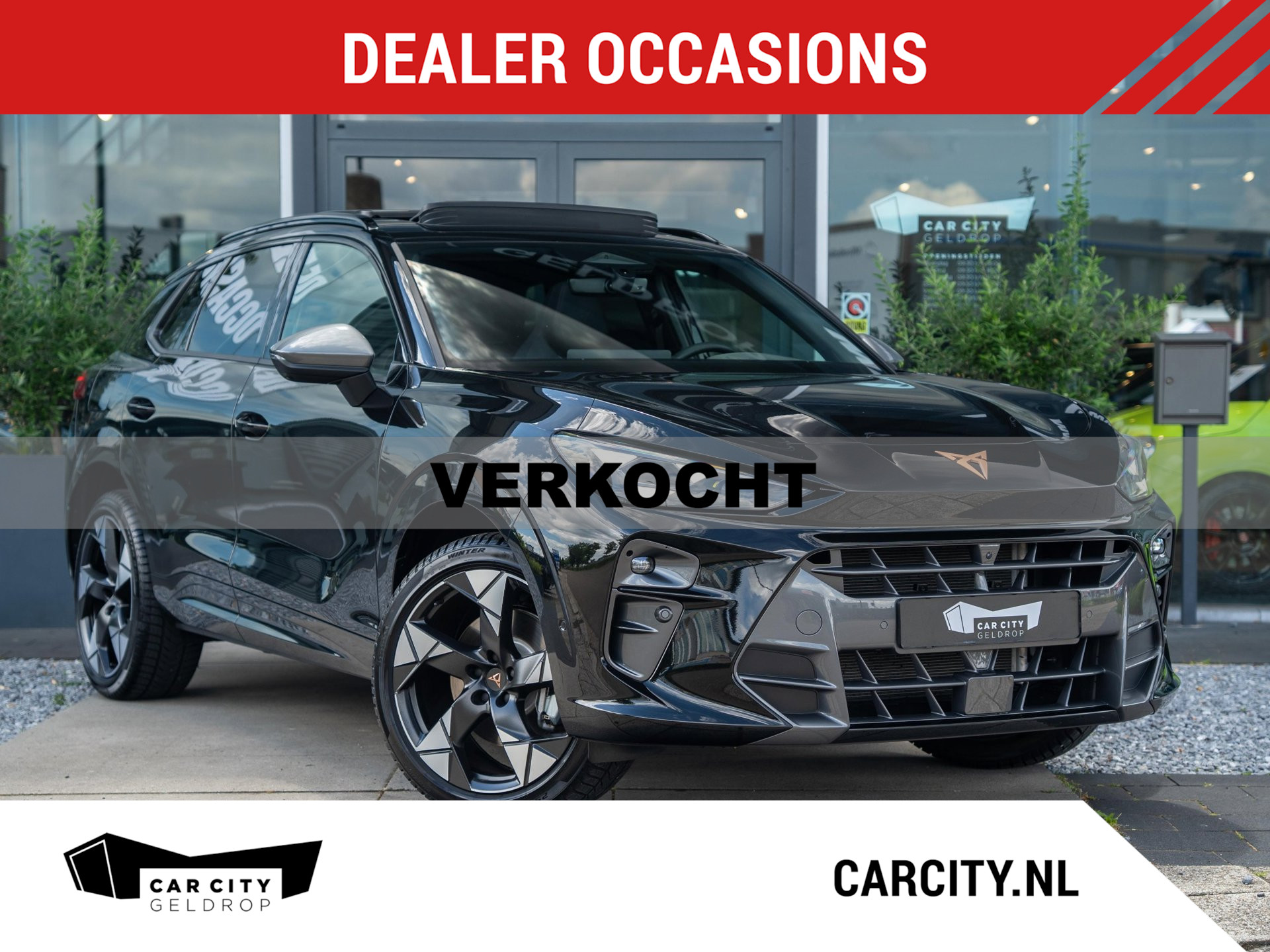 Cupra Terramar 1.5 TSI eHybrid 204pk PHEV / Pano / Memory / HUD / Keyless / Ambiance 2026 - voorkant