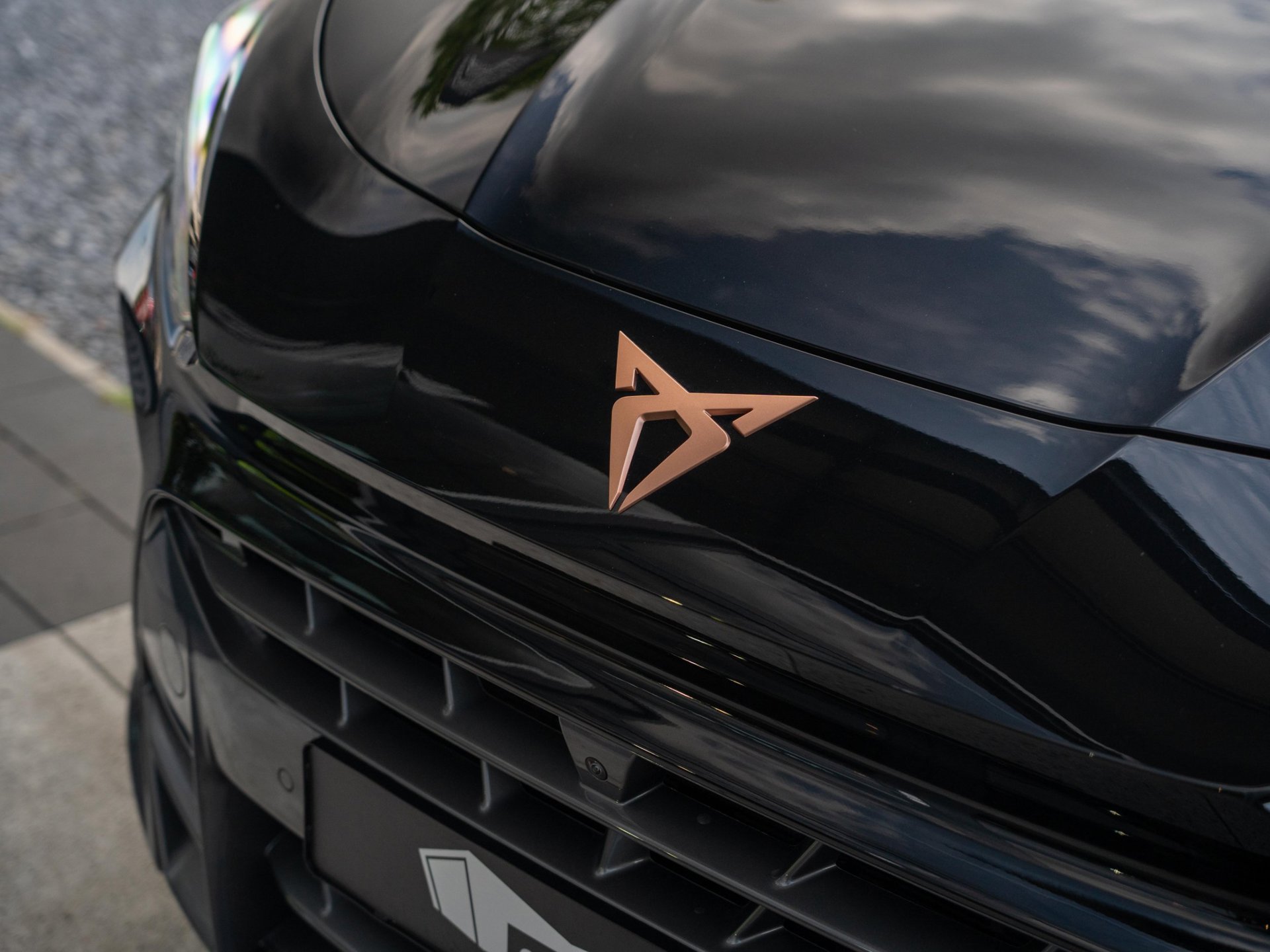 Foto van Cupra Terramar