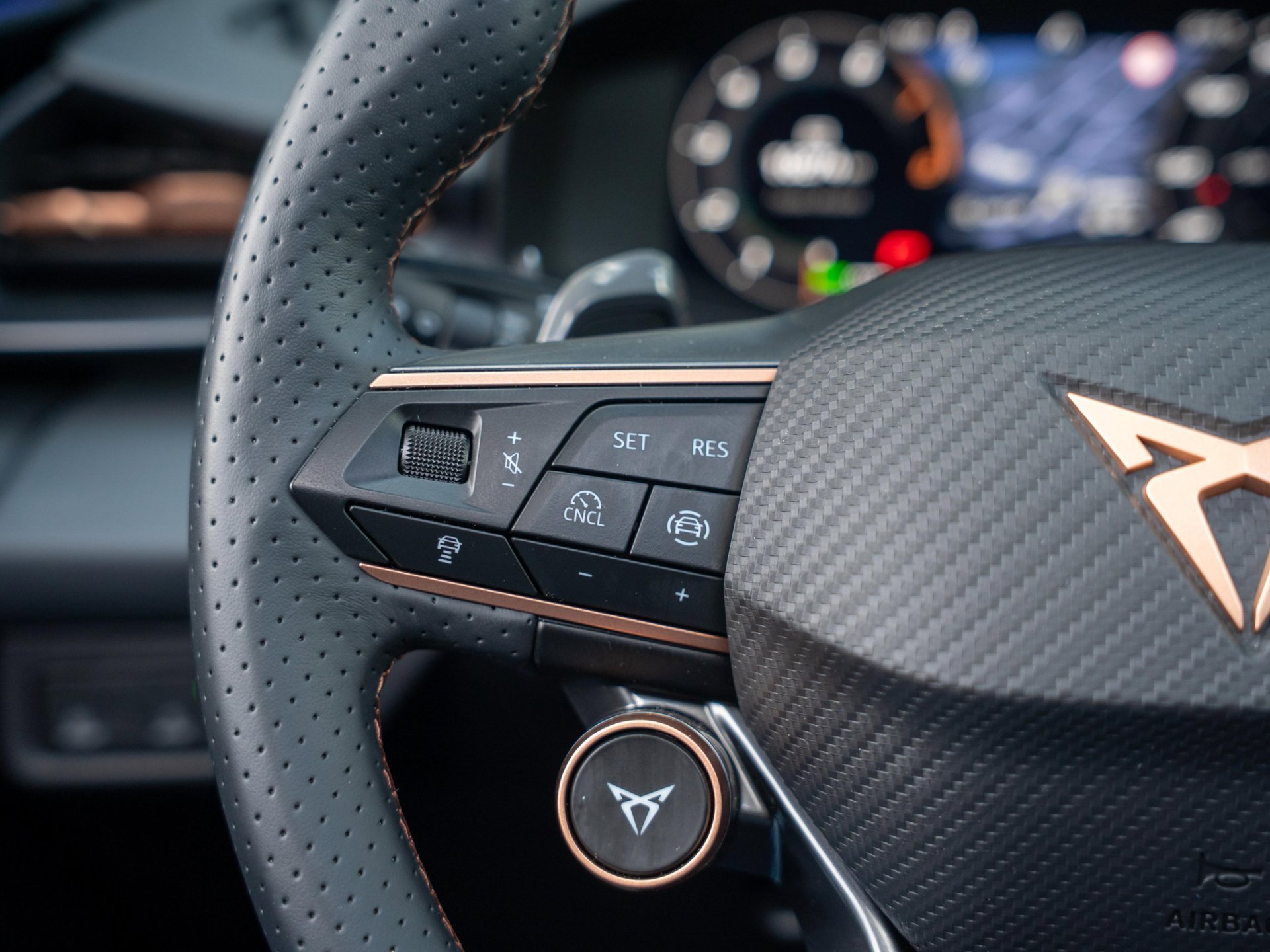 Foto van Cupra Terramar