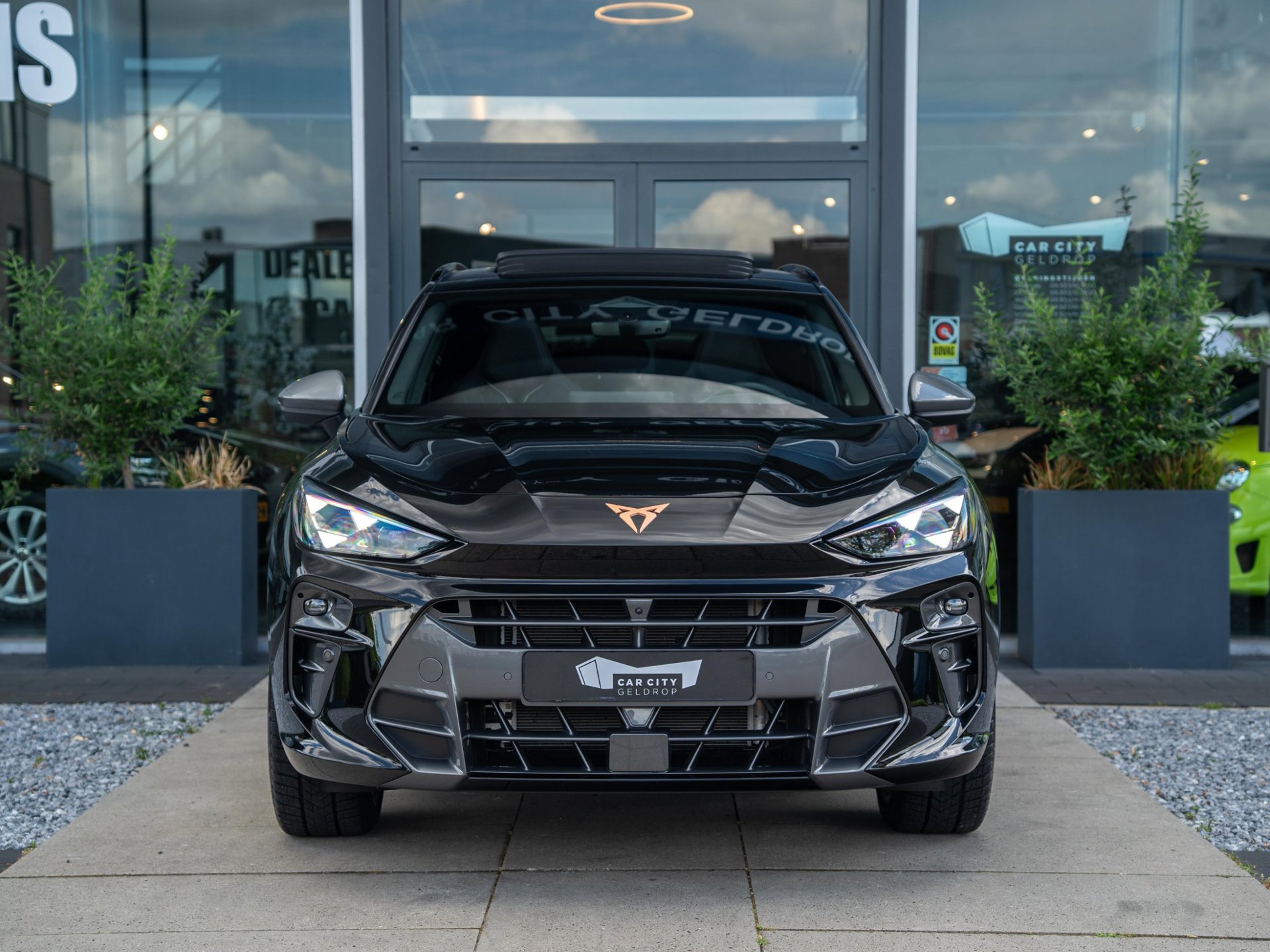 Foto van Cupra Terramar