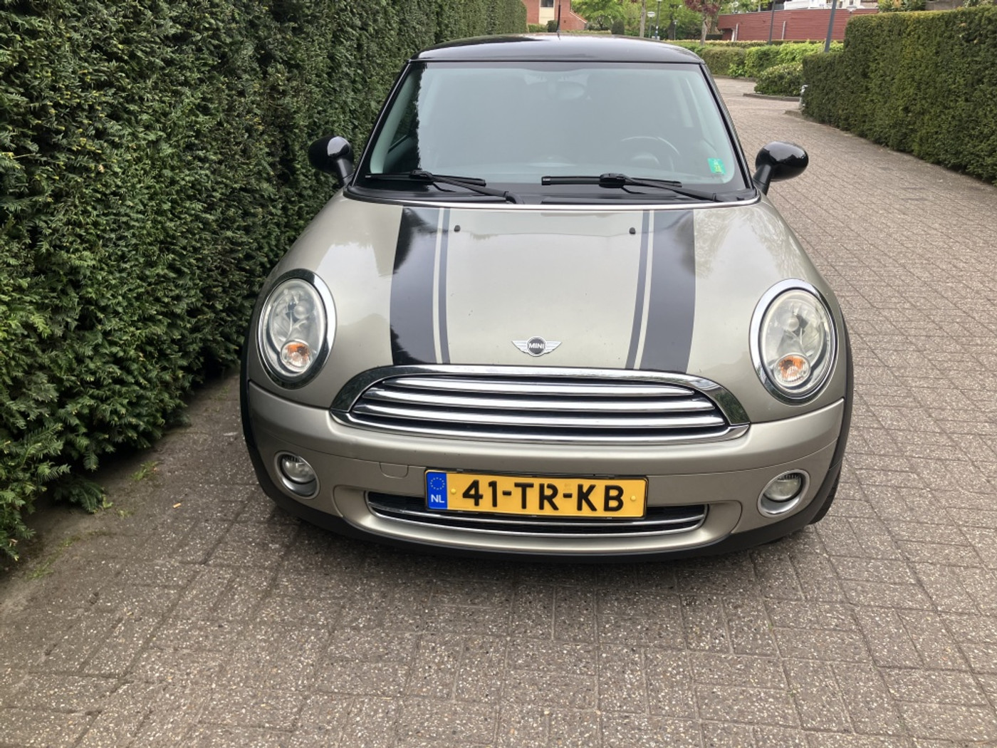 Foto van Mini Mini Cooper