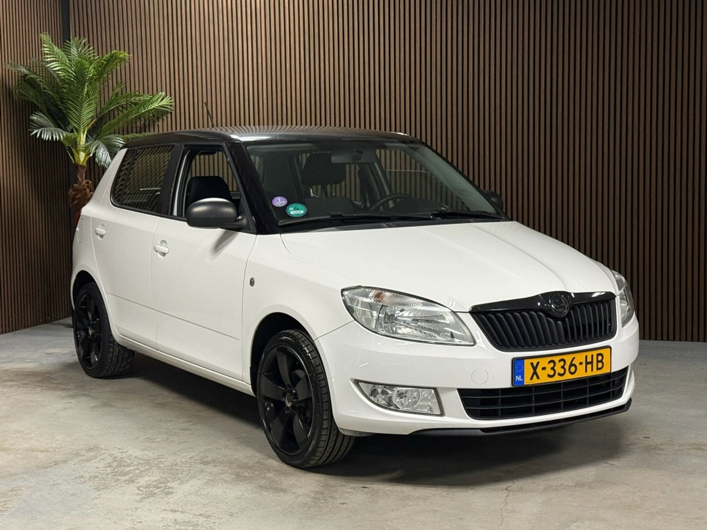 Foto van Skoda Fabia