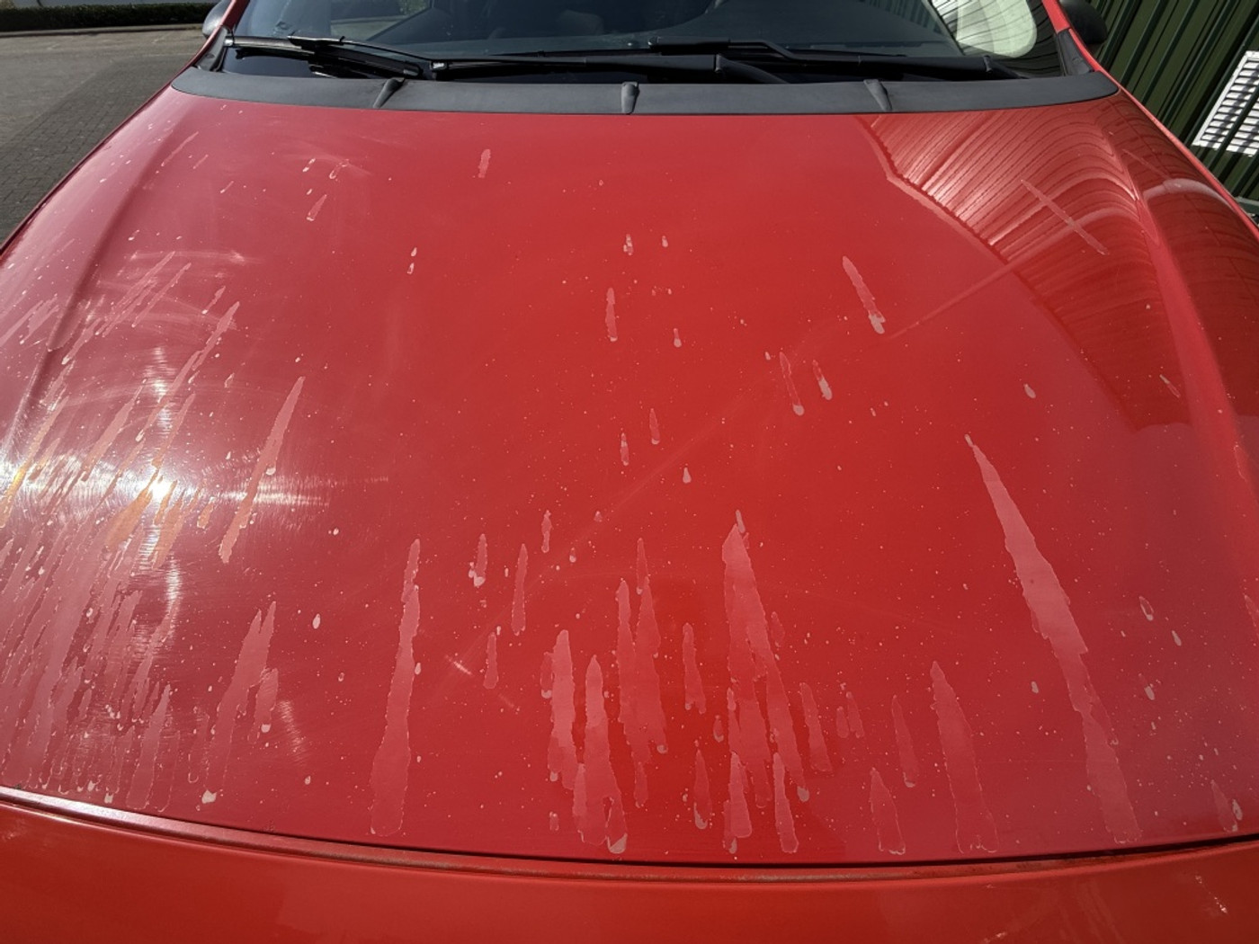 Foto van Fiat Fiat Punto