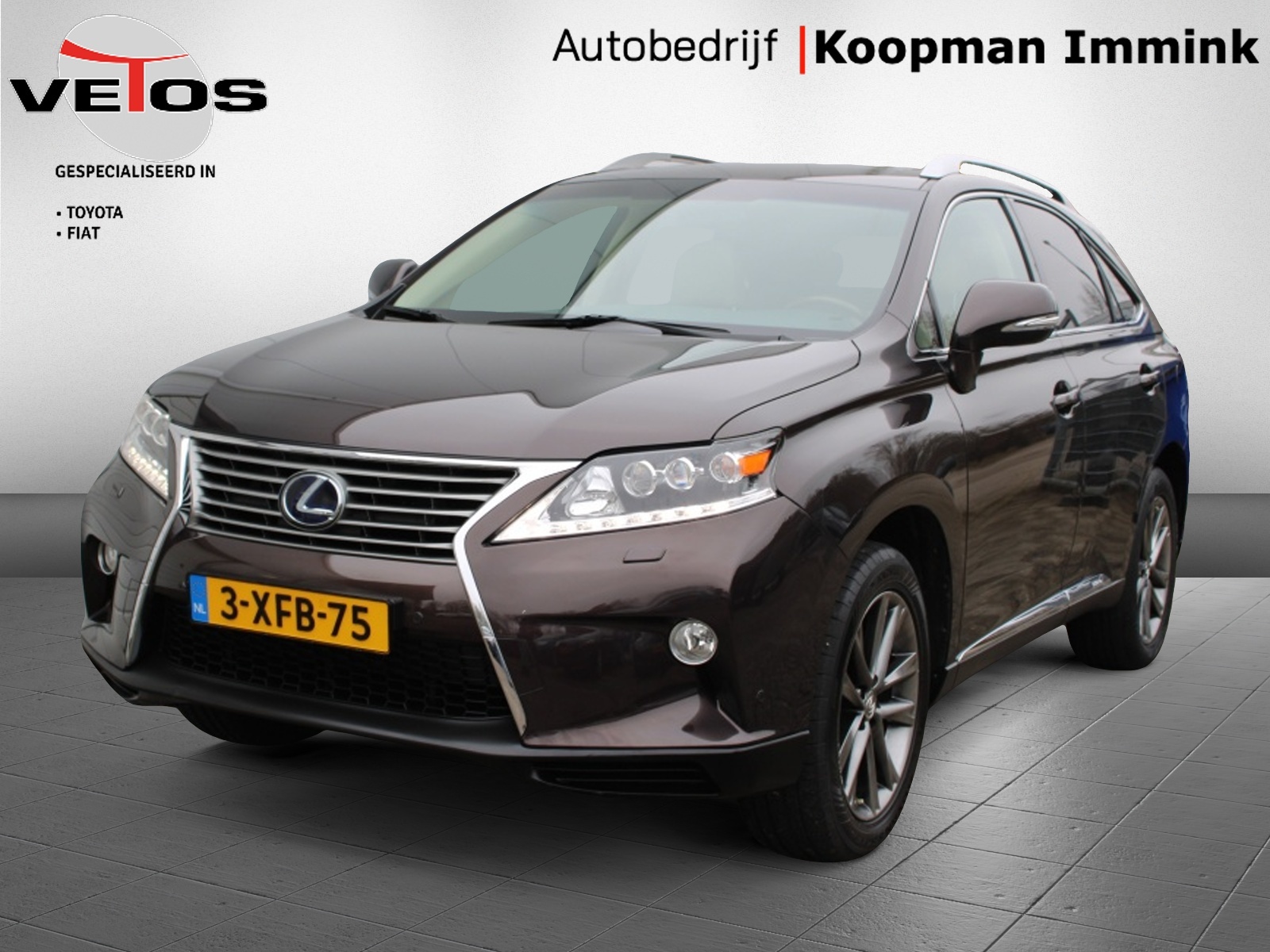 Lexus Lexus Rx450h 450h 4WD President Line + Panorama dak 2014 - voorkant