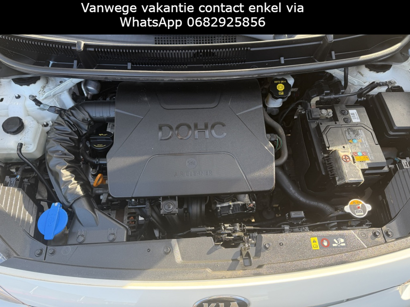 Foto van Kia Picanto