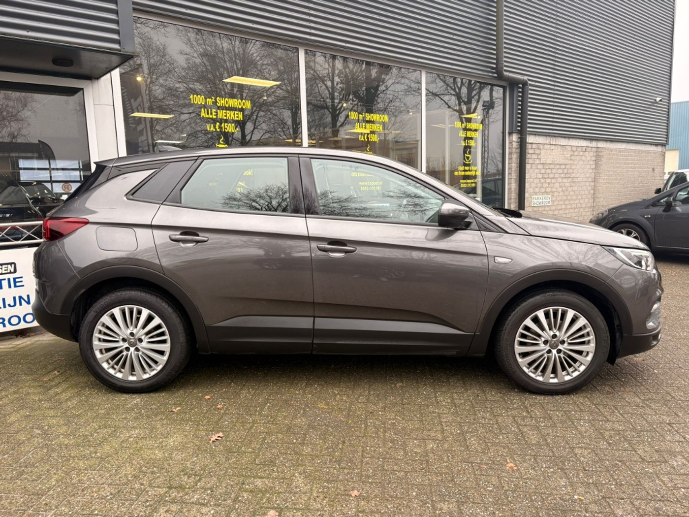 Foto van Opel Grandland X