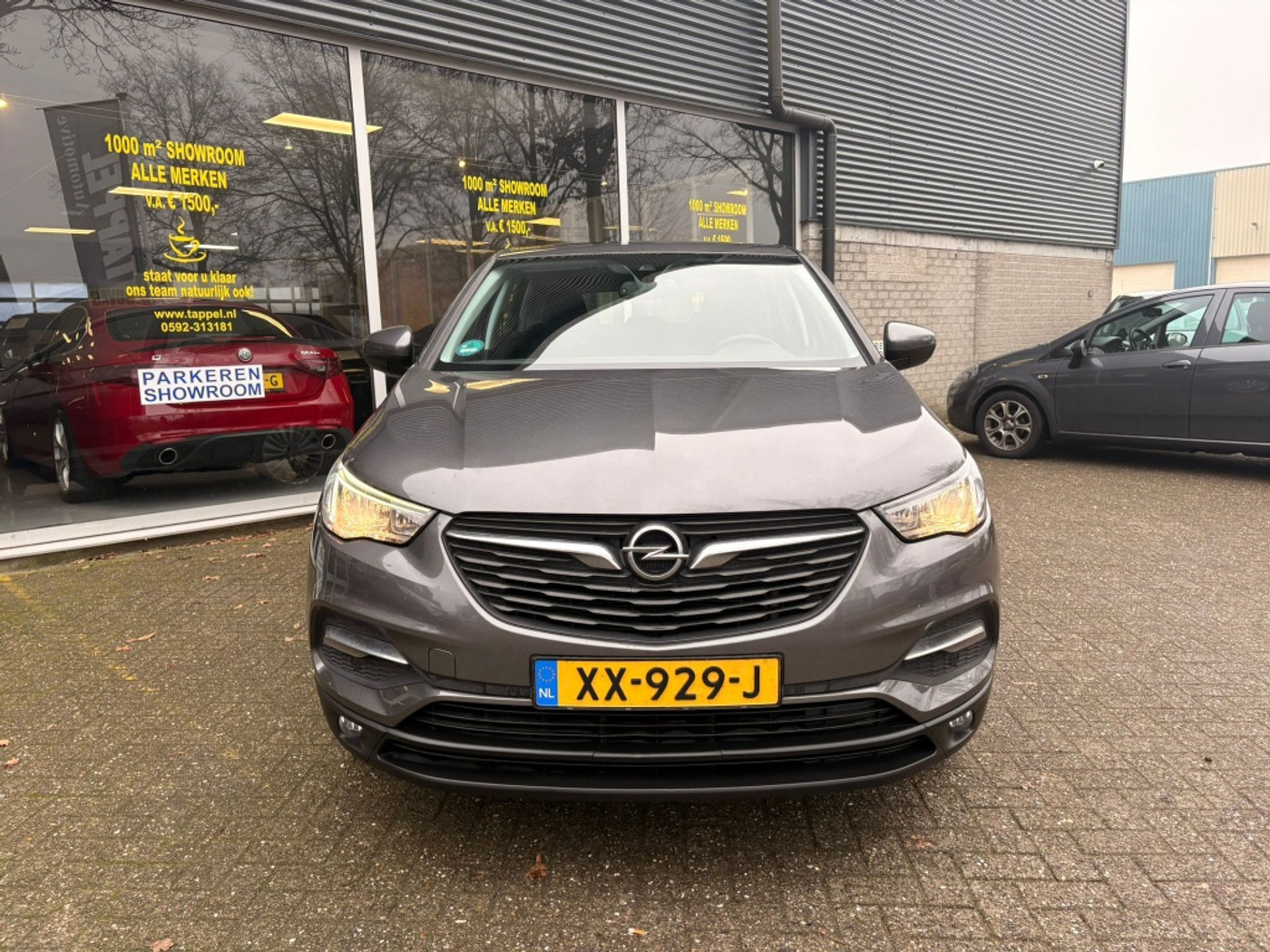Foto van Opel Grandland X