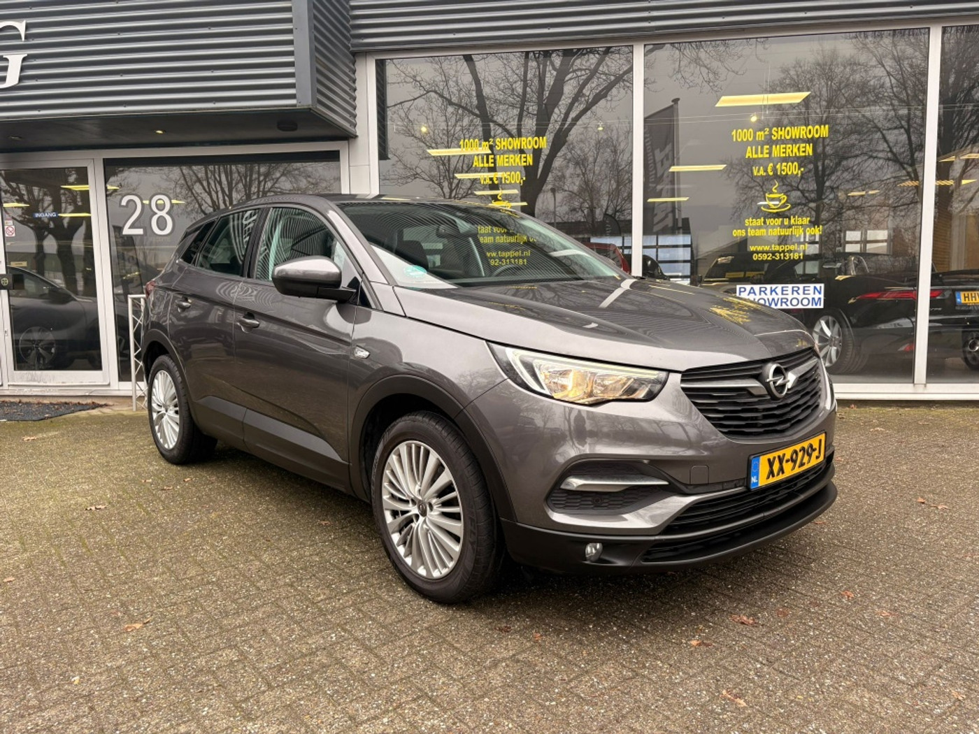 Foto van Opel Grandland X
