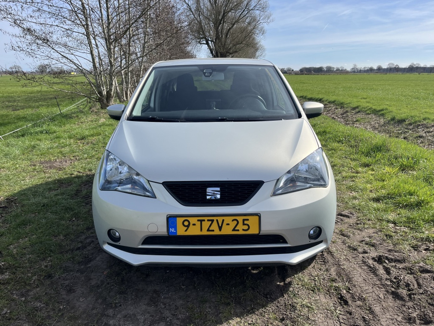 Foto van Seat Mii