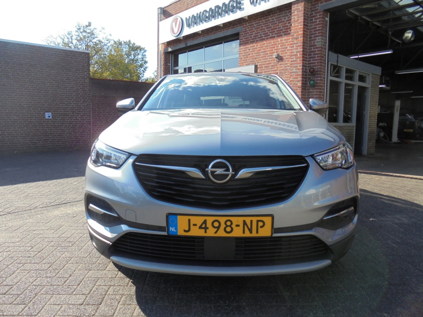 Foto van Opel Grandland X