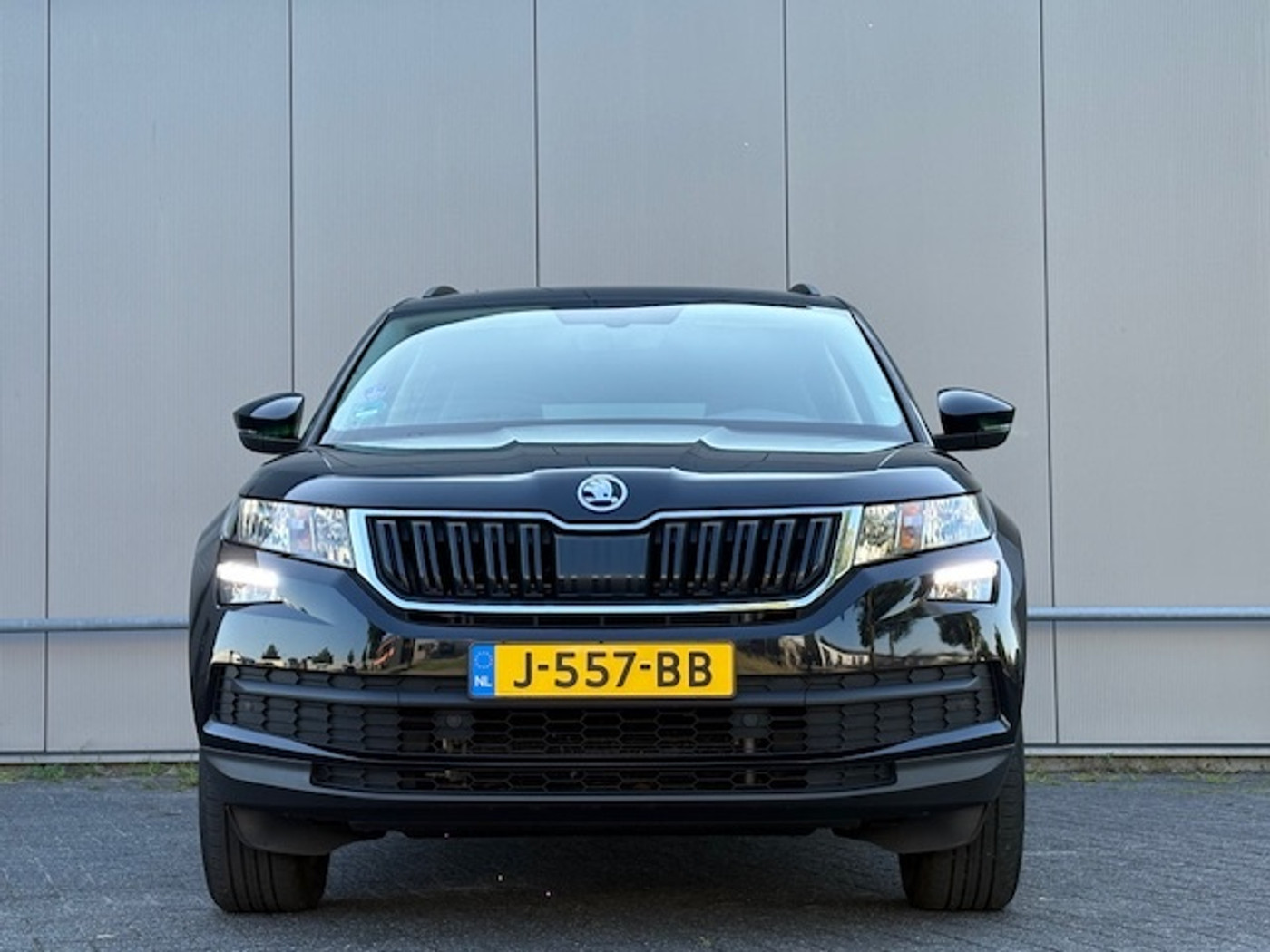 Foto van Skoda Kodiaq