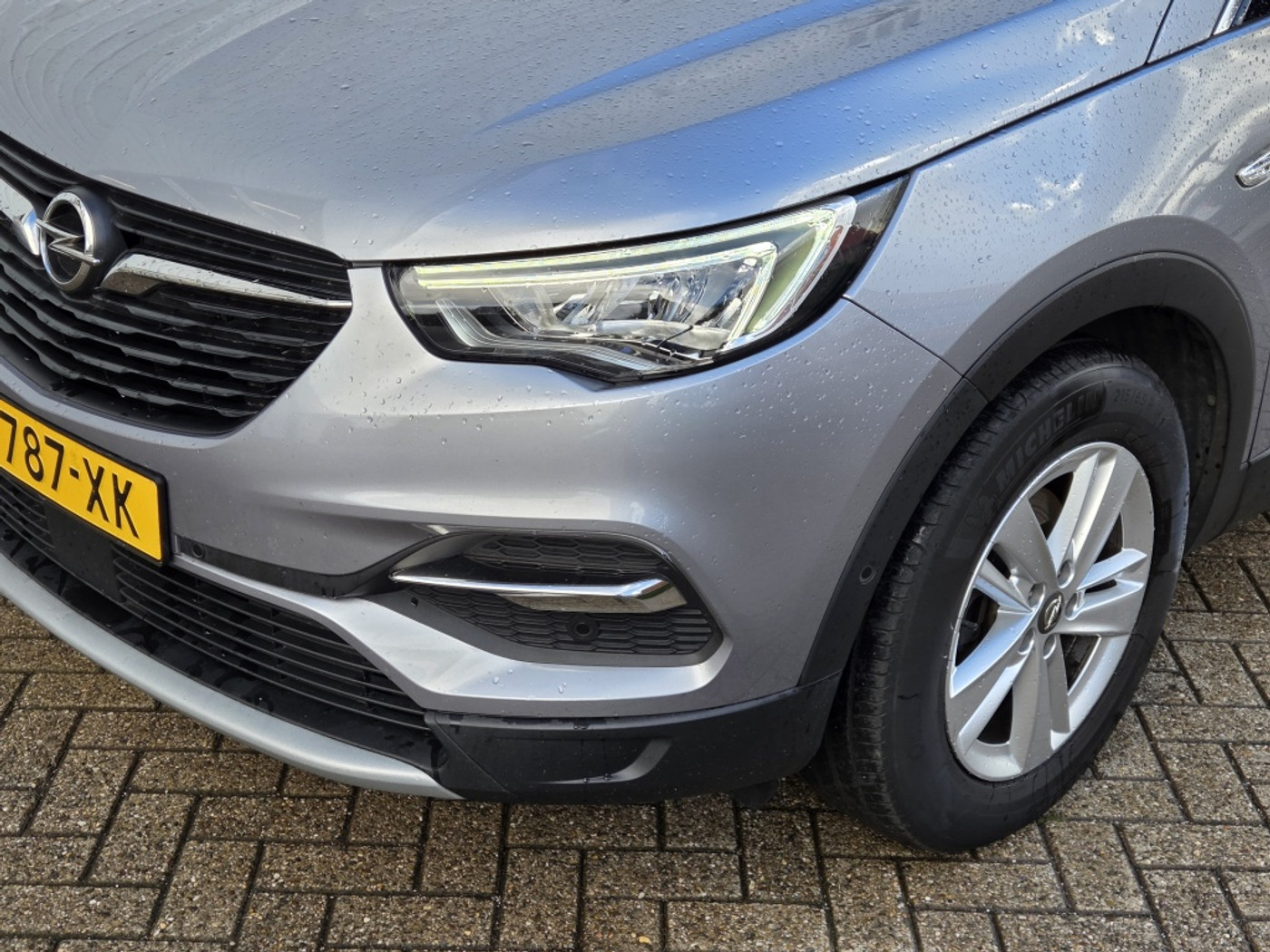 Foto van Opel Grandland X