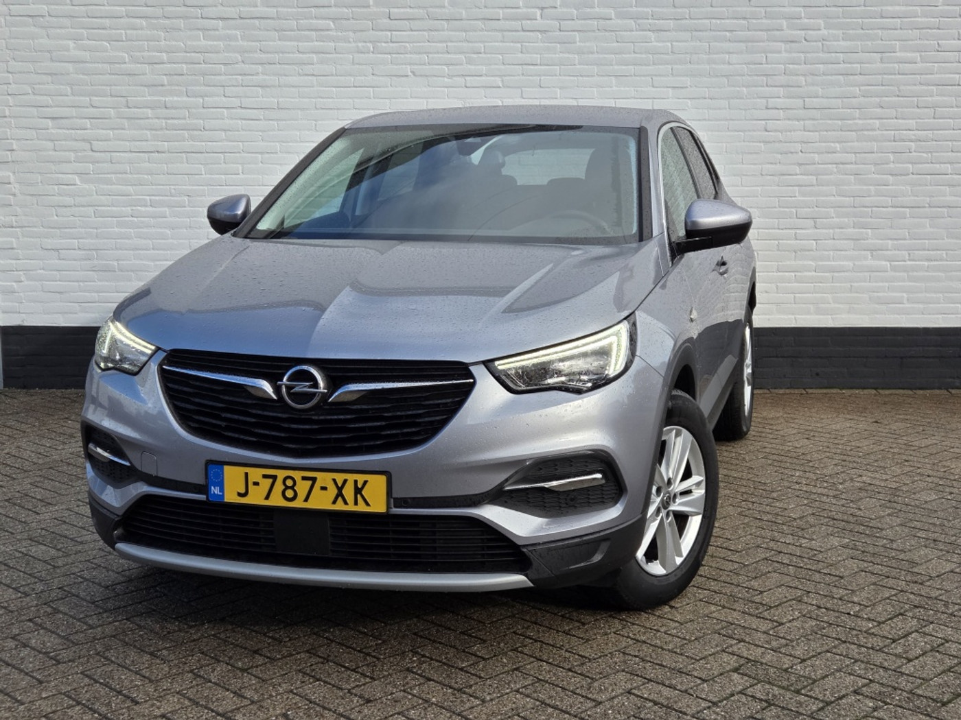 Foto van Opel Grandland X