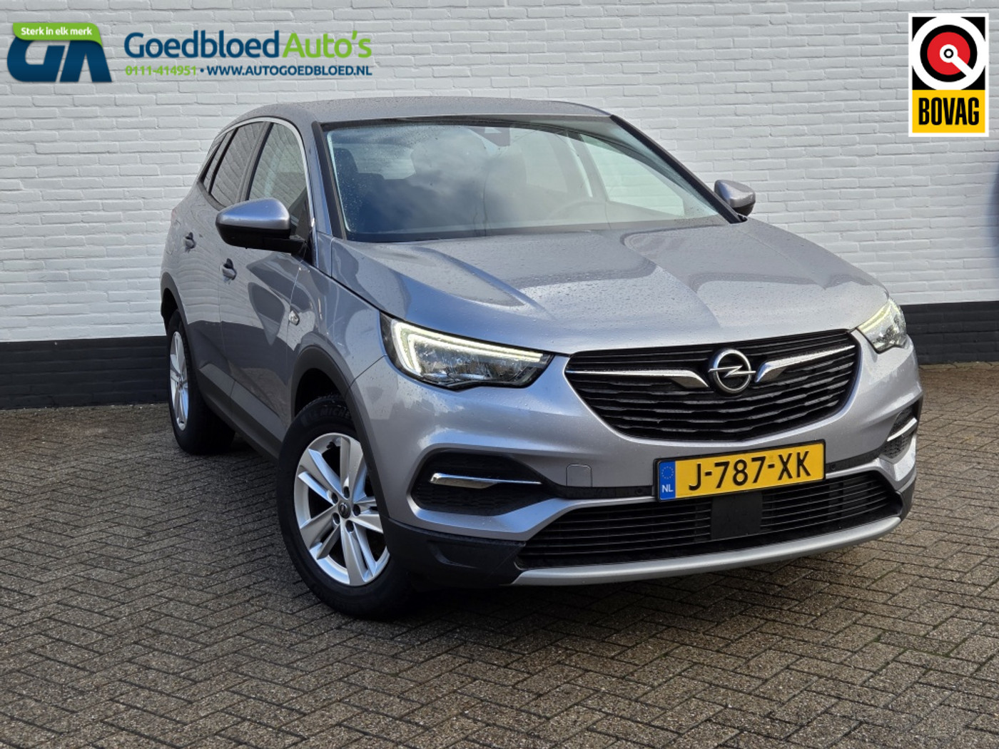 Opel Grandland X 1.2 Turbo Business Executive 2020 - voorkant