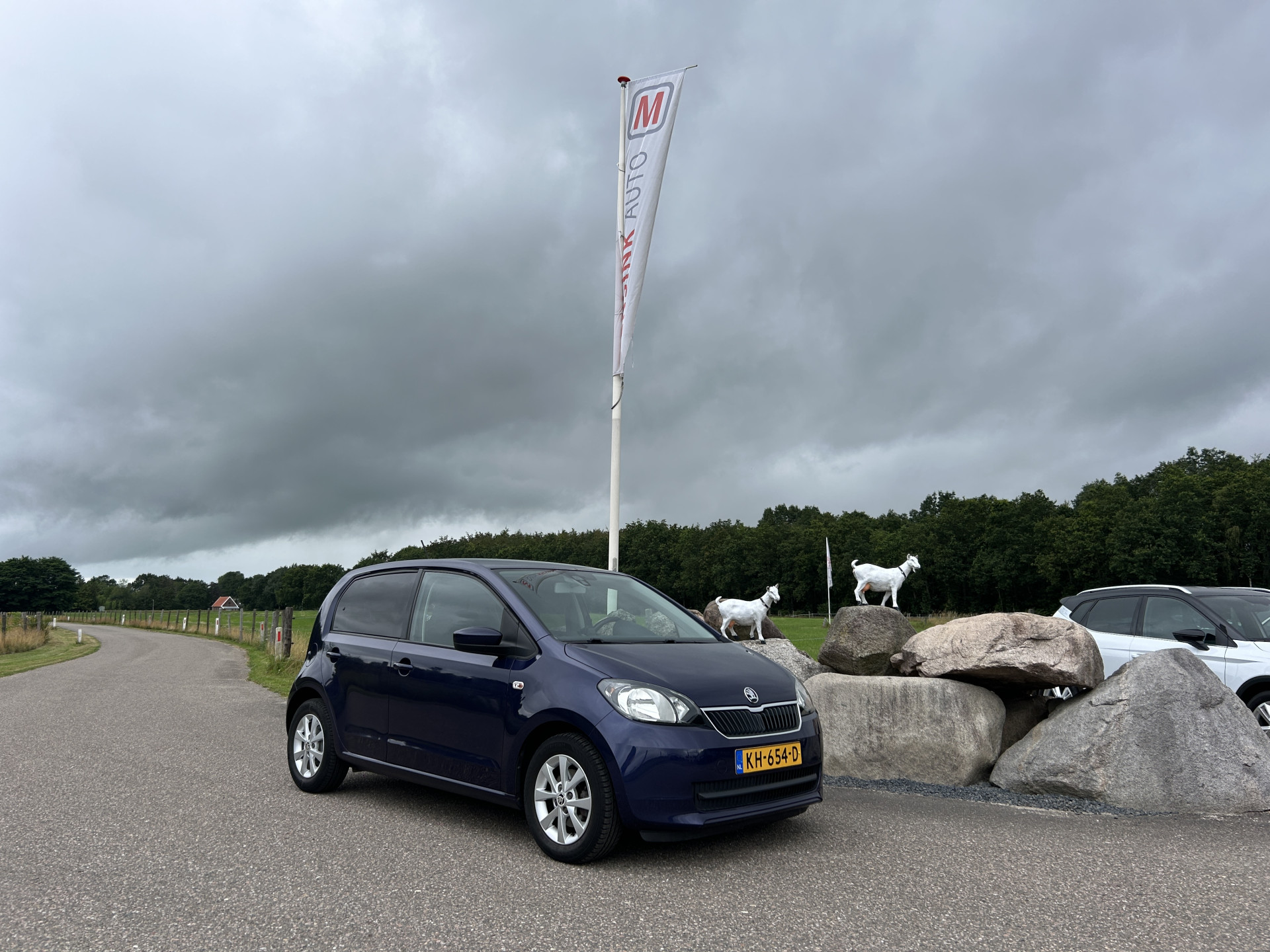 Foto van Skoda Citigo