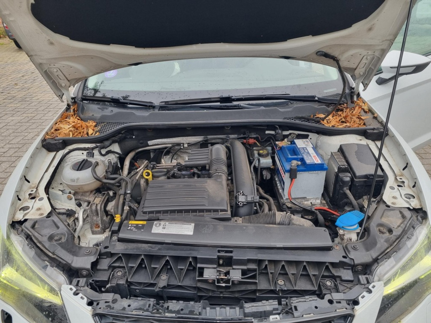 Foto van Seat Leon ST