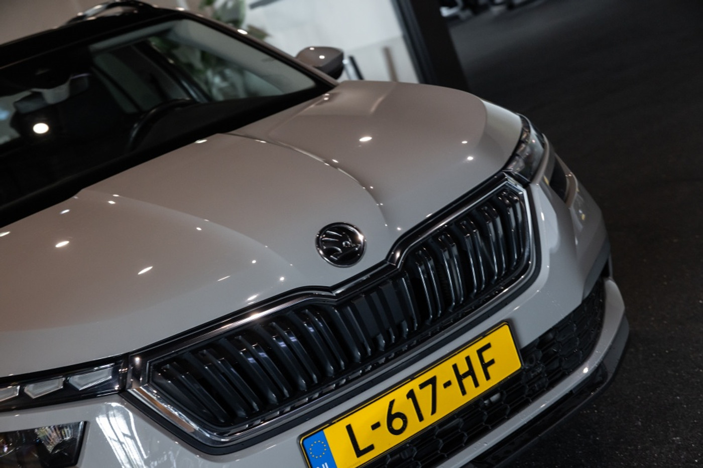 Foto van Skoda Kamiq