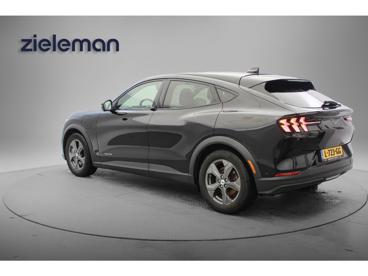 Foto van Ford Mustang Mach-e