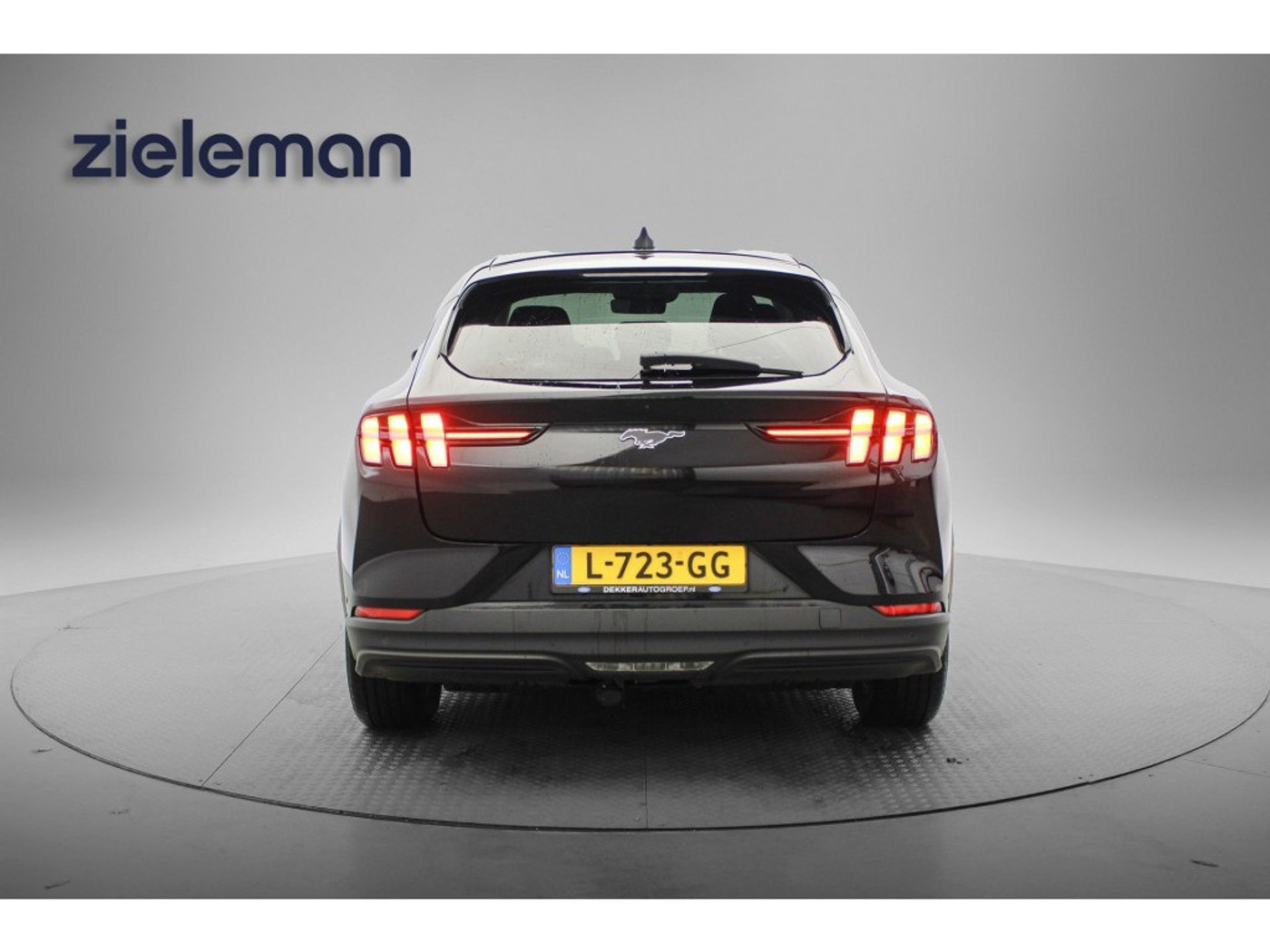 Foto van Ford Mustang Mach-e