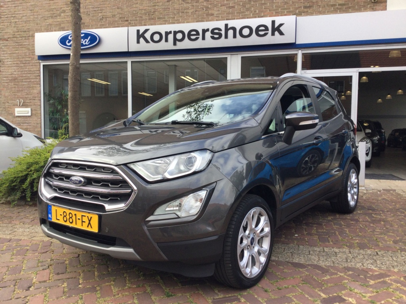 Ford Ecosport 1.0 EB 125 pk Titanium X | Winter Pack 2021 - voorkant
