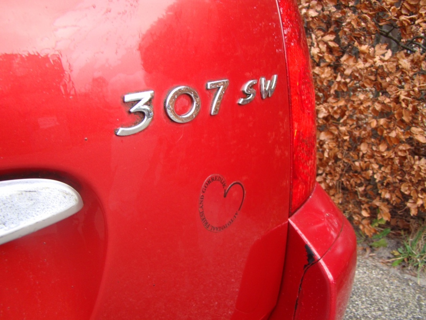 Foto van Peugeot 307