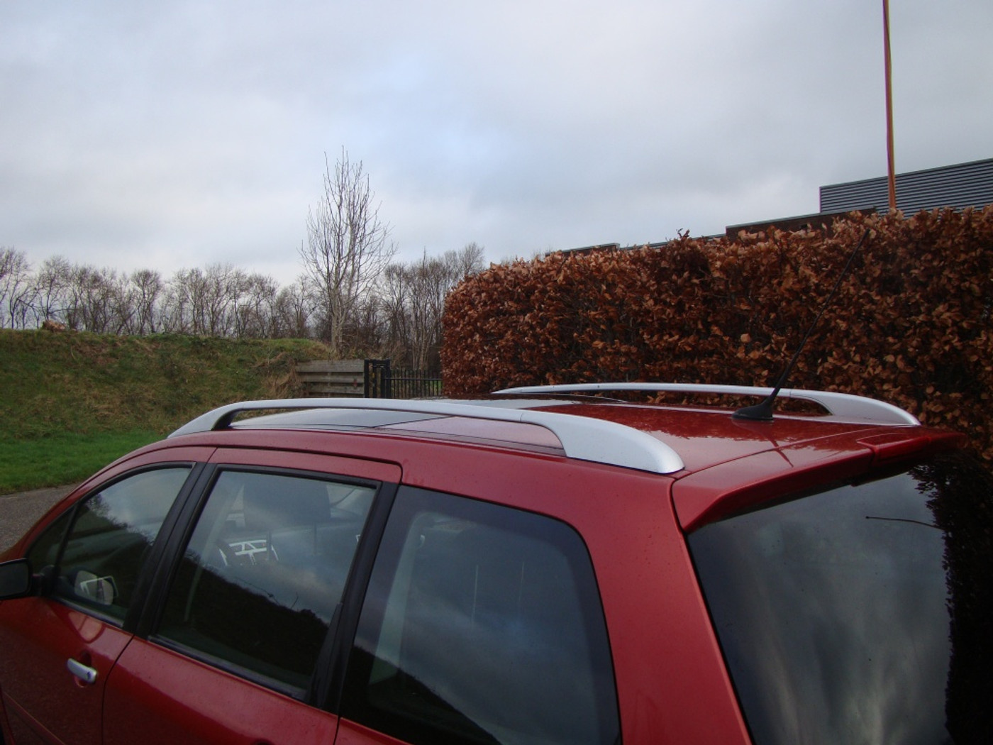 Foto van Peugeot 307