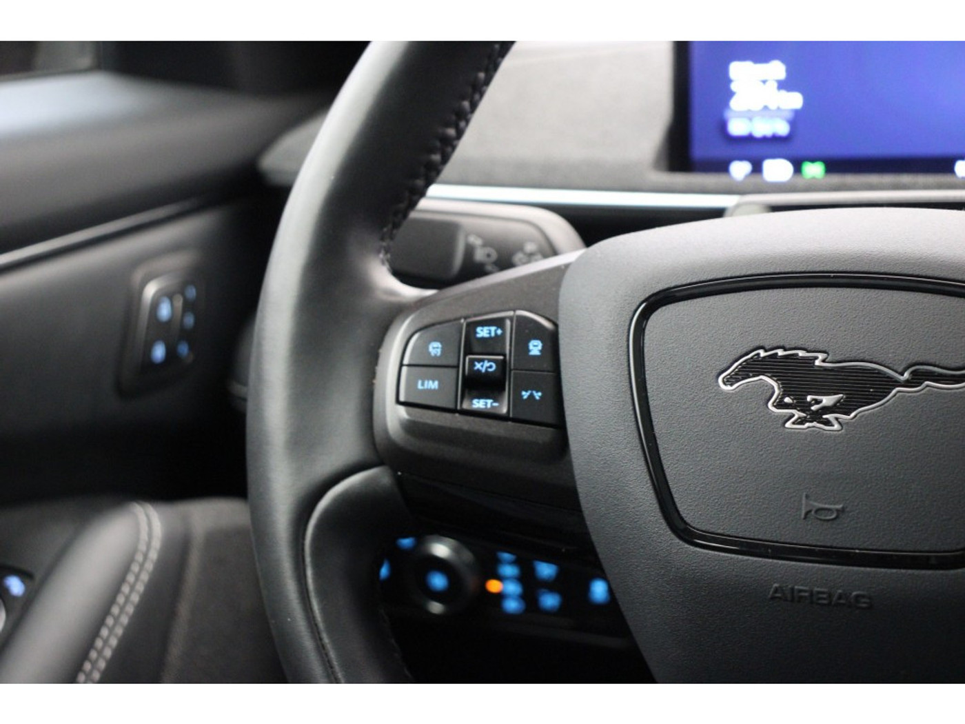 Foto van Ford Mustang Mach-e