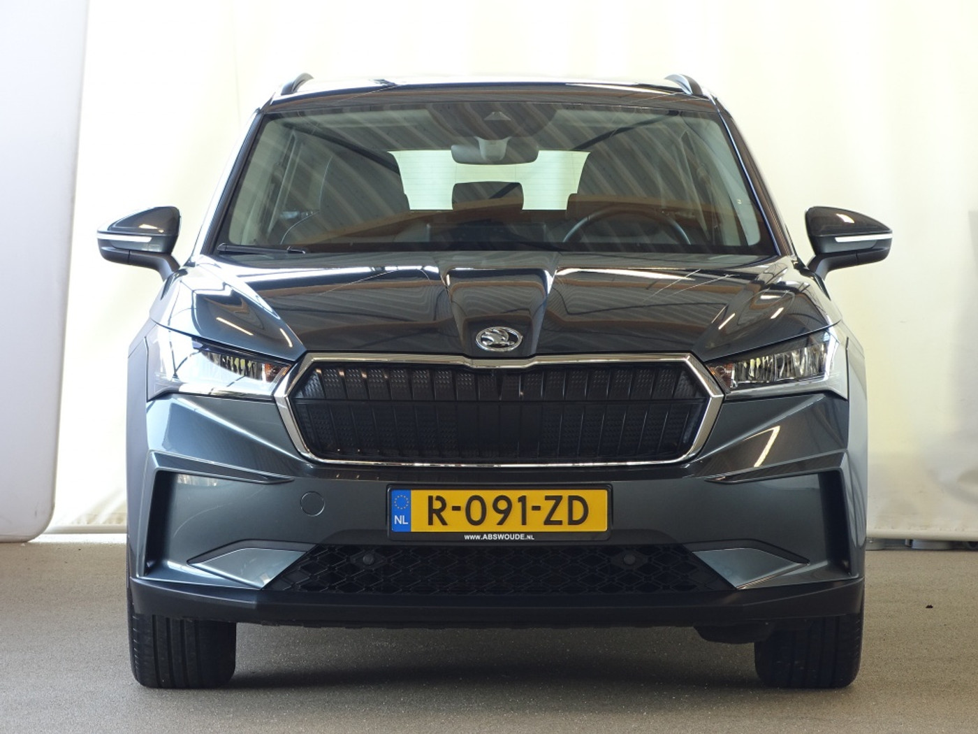 Foto van Skoda Enyaq 50