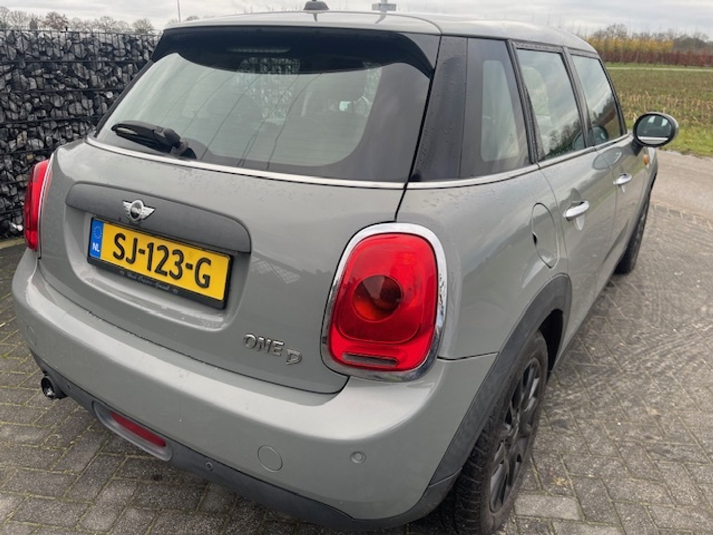 Foto van Mini One D
