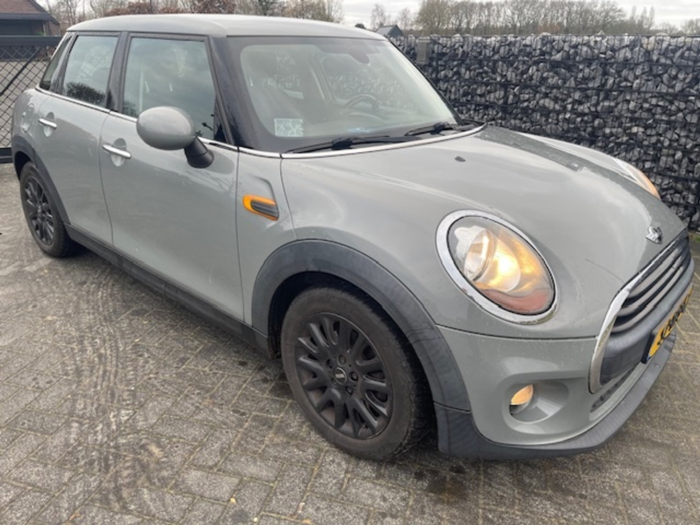 Foto van Mini One D