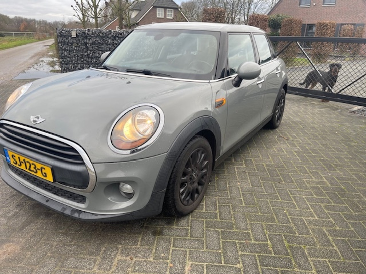 Foto van Mini One D
