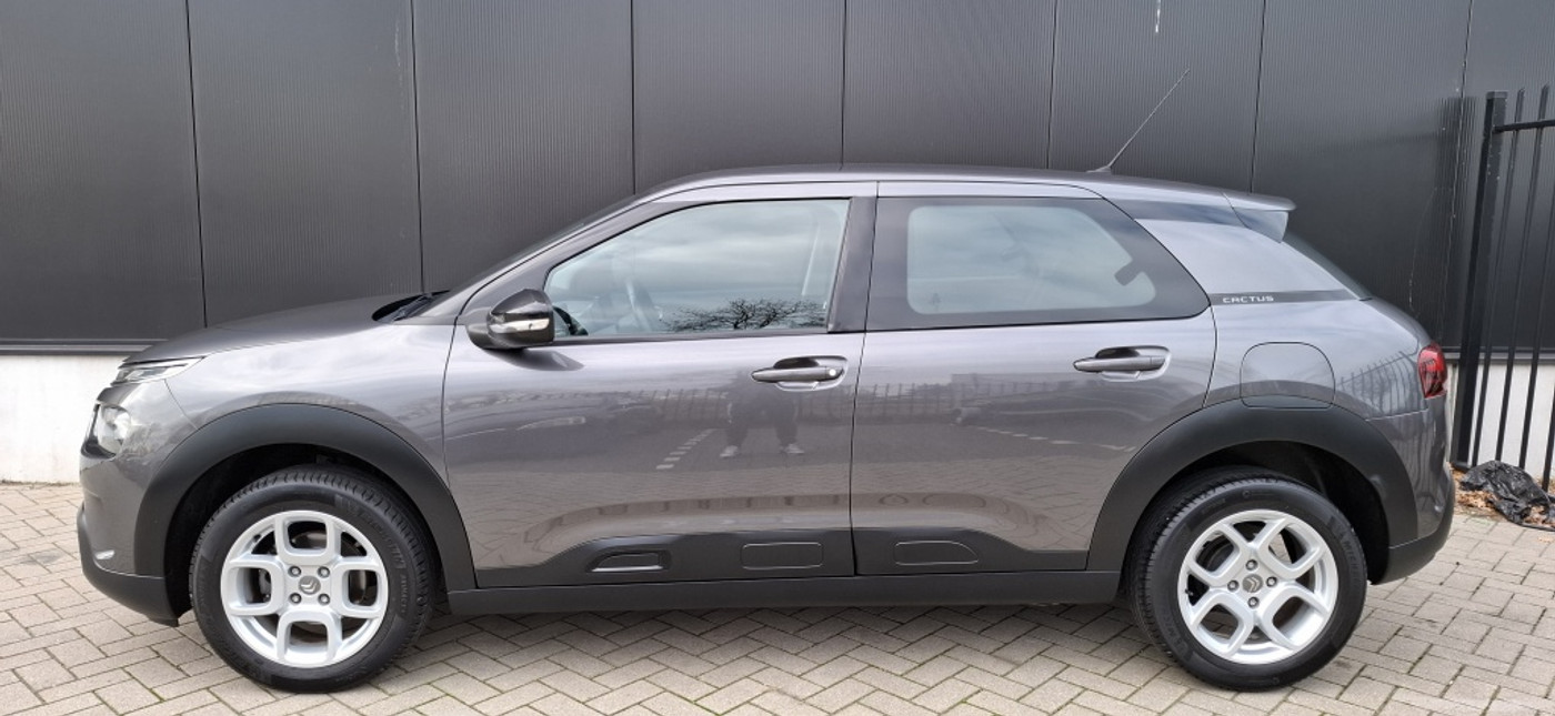 Foto van Citroen C4 Cactus
