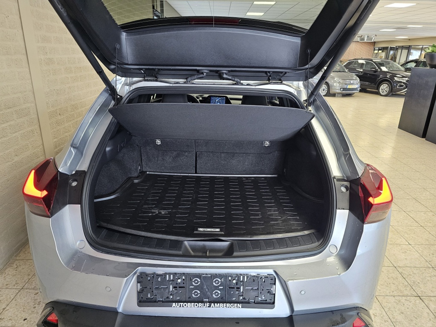 Foto van Lexus Lexus Ux250h