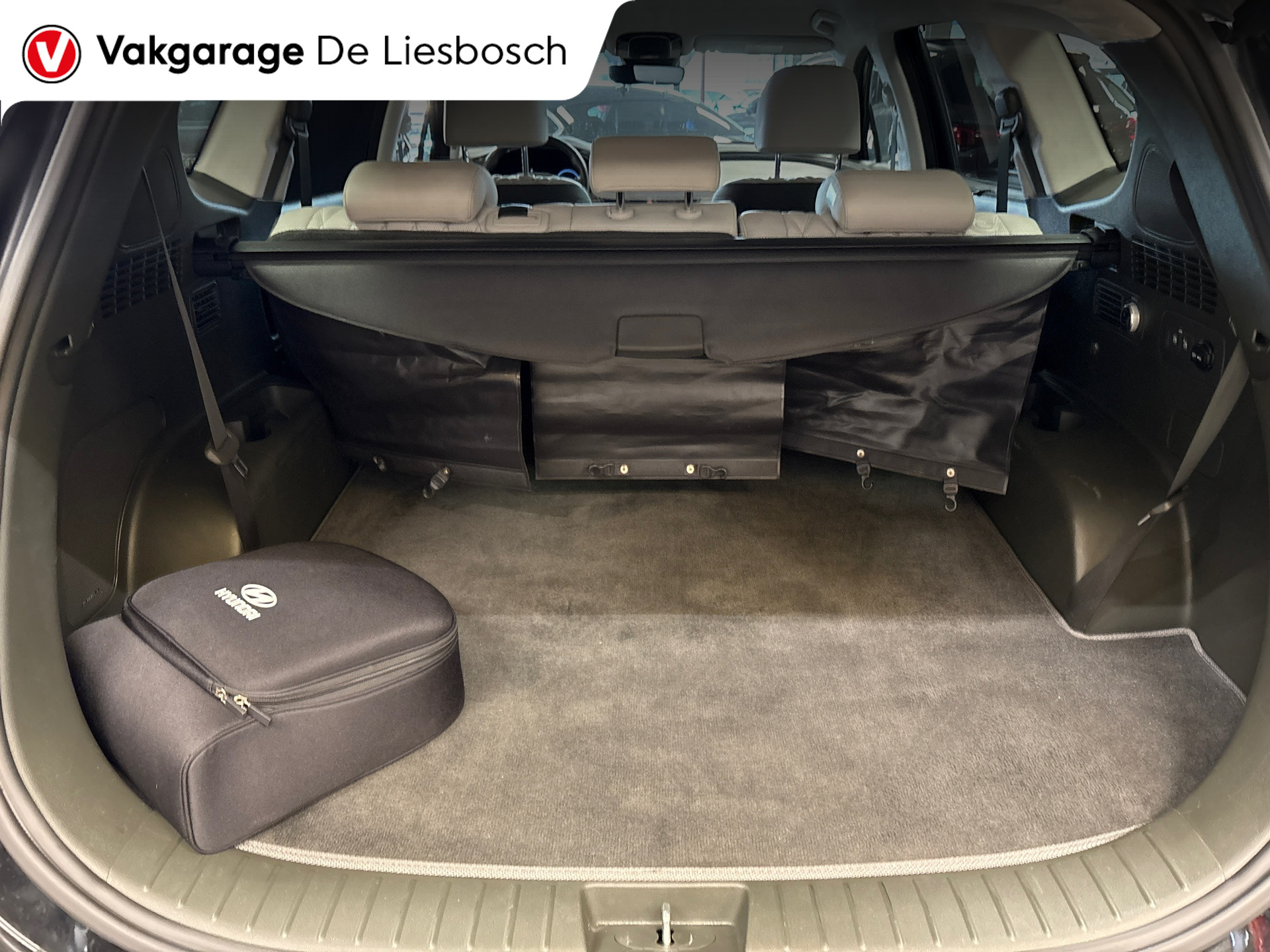 Foto van Hyundai Santa Fe