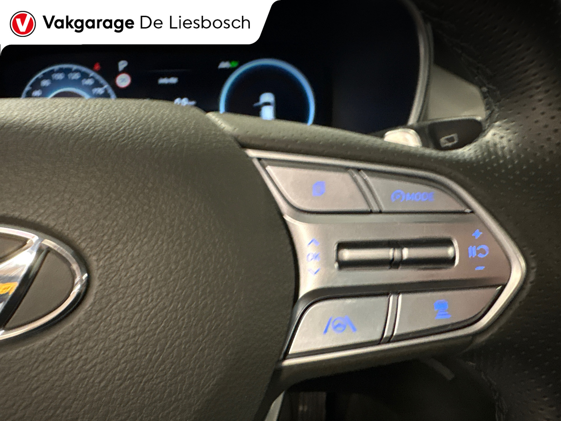 Foto van Hyundai Santa Fe