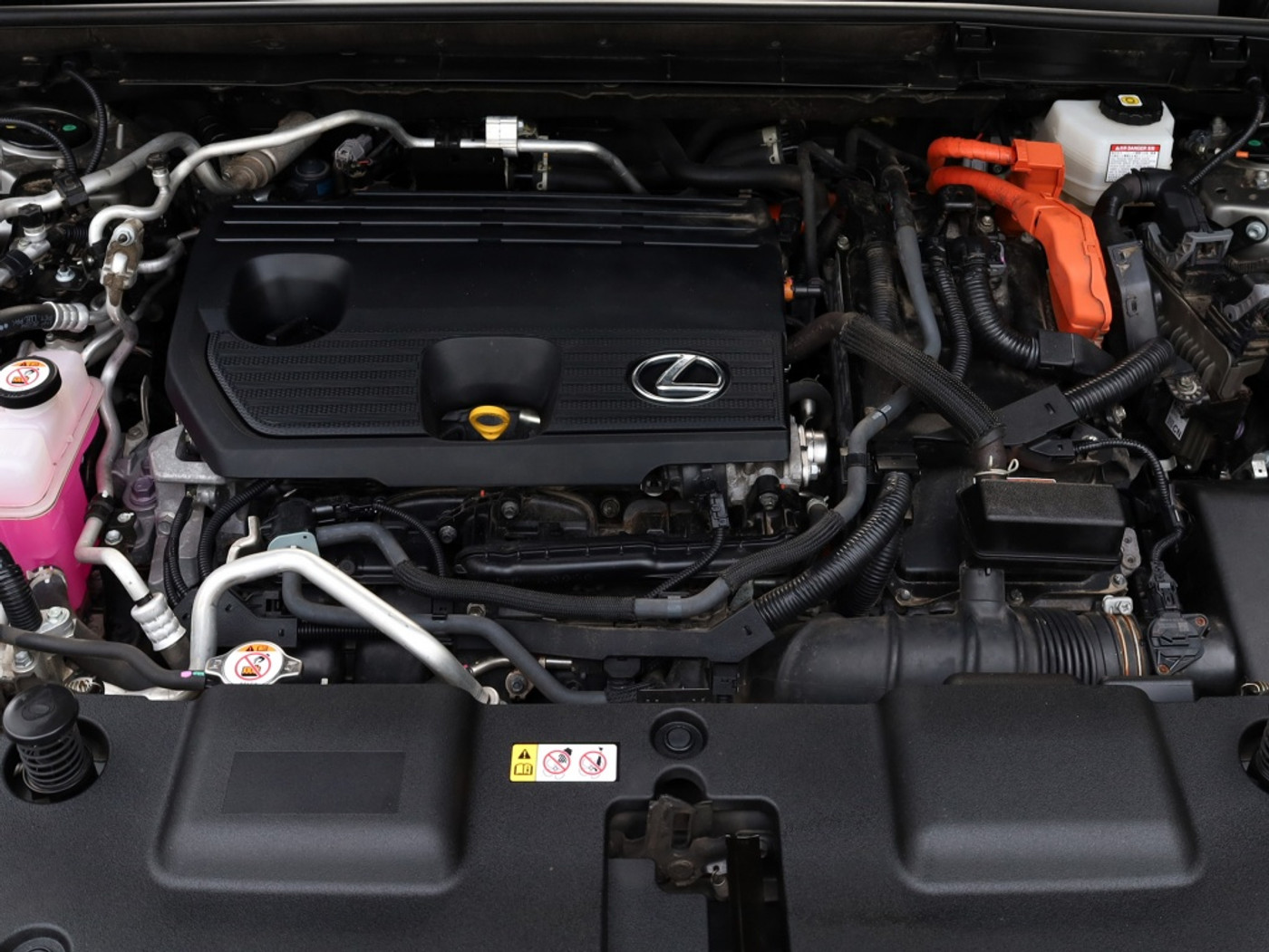 Foto van Lexus Lexus Nx450h+