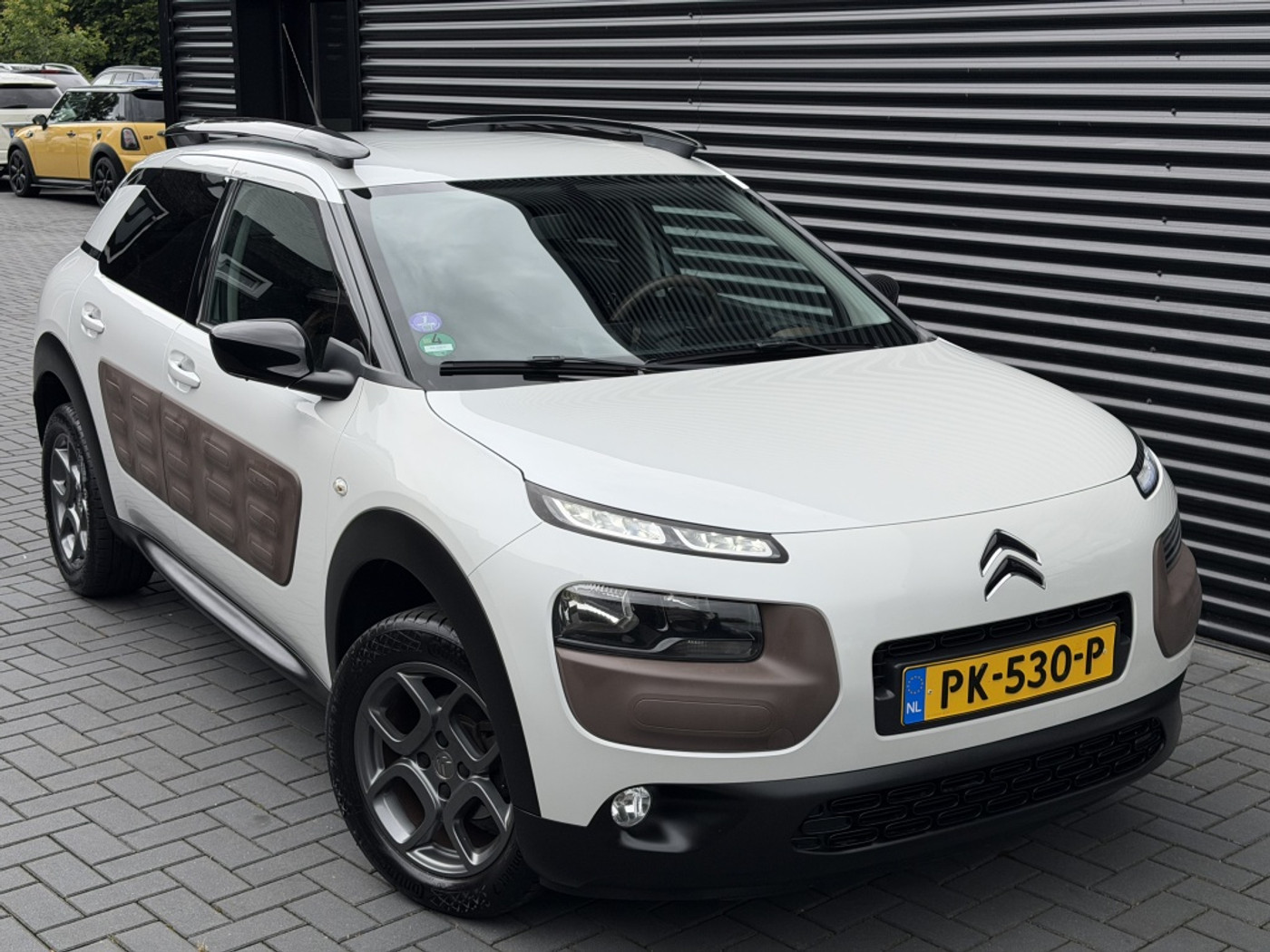 Foto van Citroen C4 Cactus
