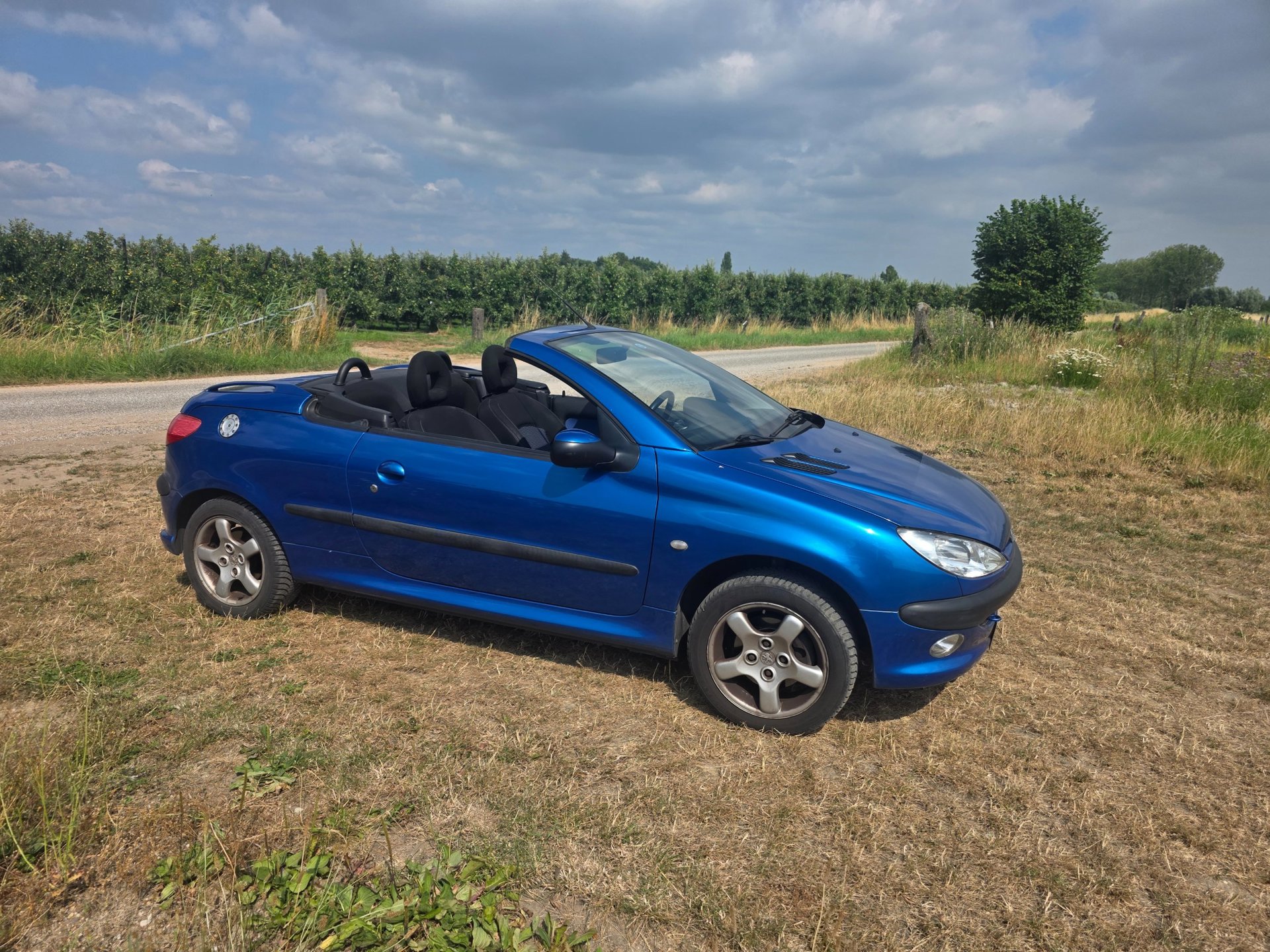 Foto van Peugeot 206