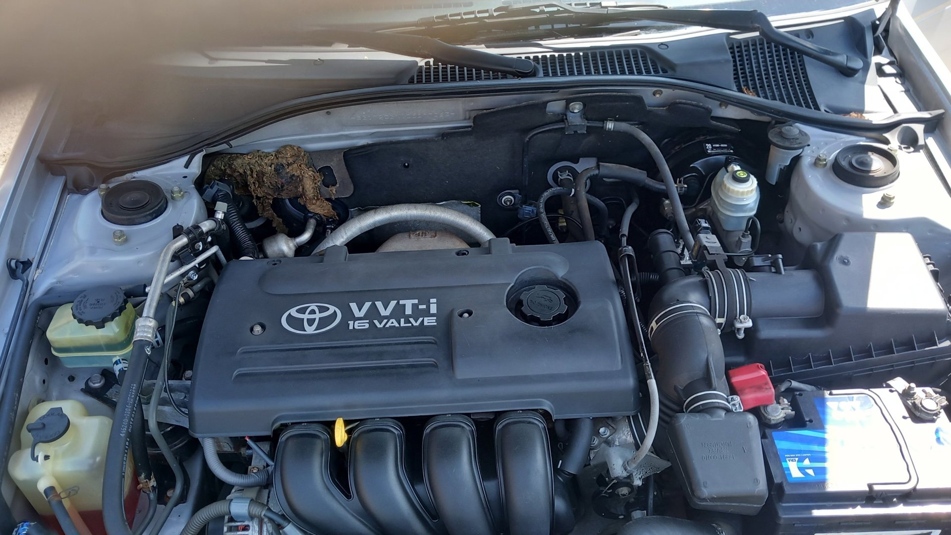 Foto van Toyota Toyota Avensis