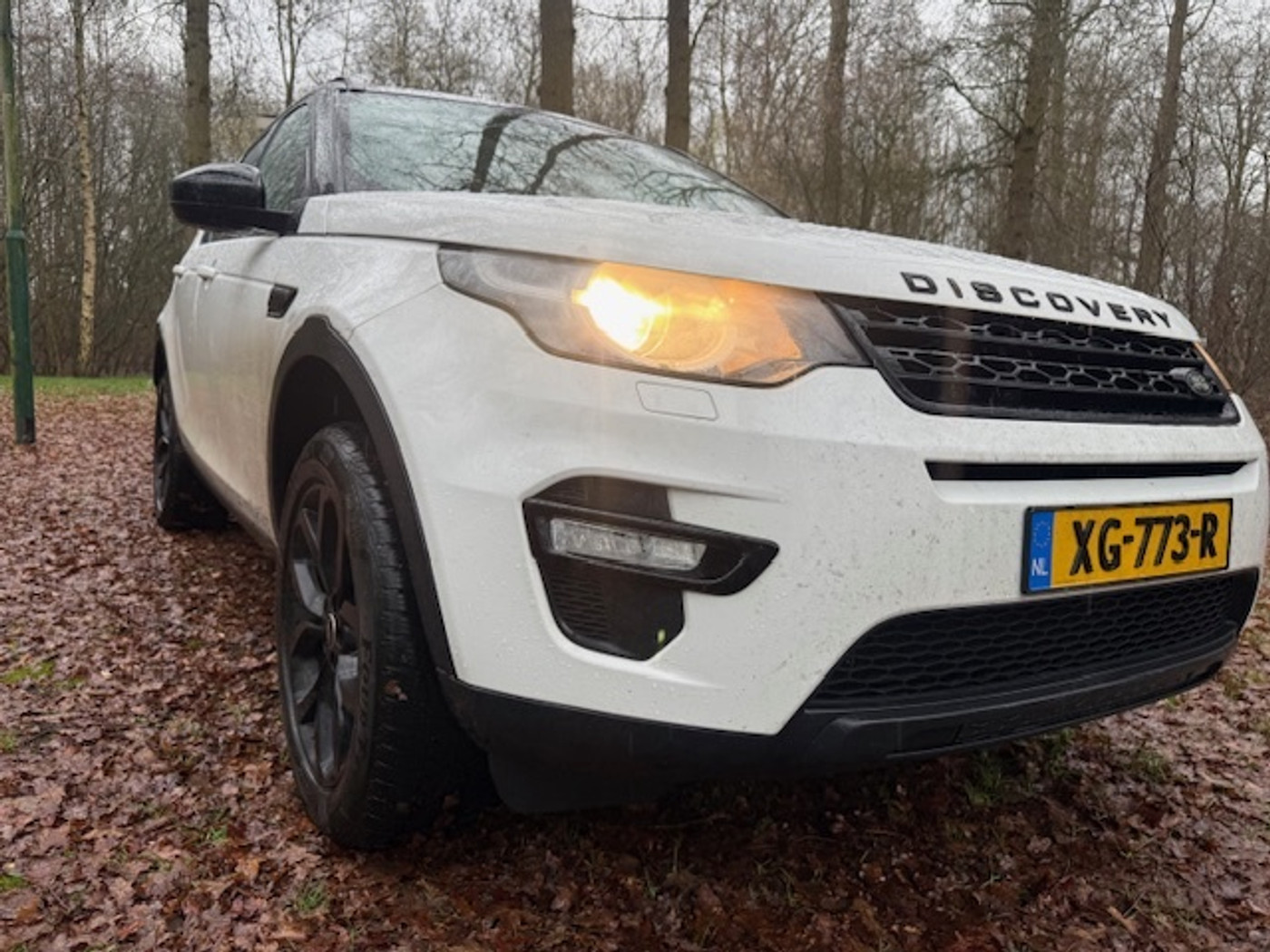 Foto van Land Rover Discovery