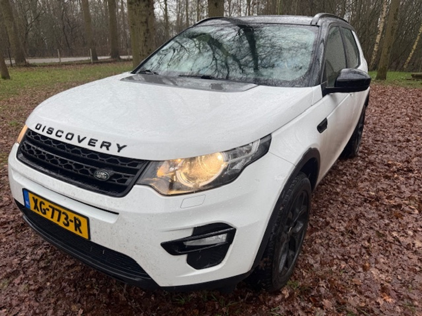 Foto van Land Rover Discovery
