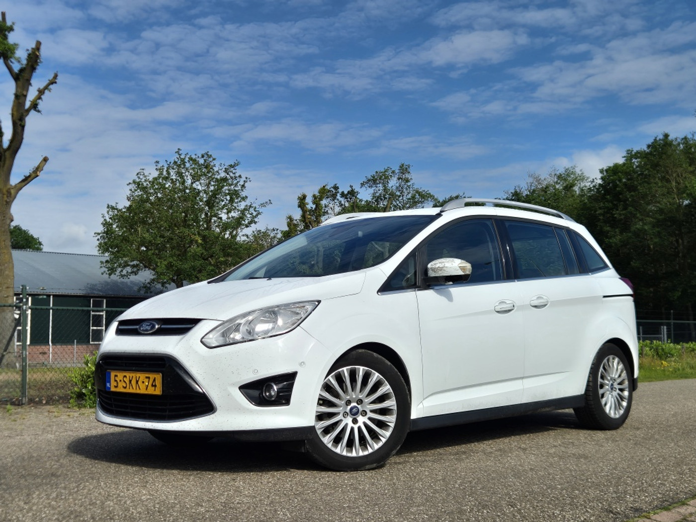 Ford Grand C-max 1.0 Titanium 7p. Volledige motorrevisie + distributie! 2013 - voorkant