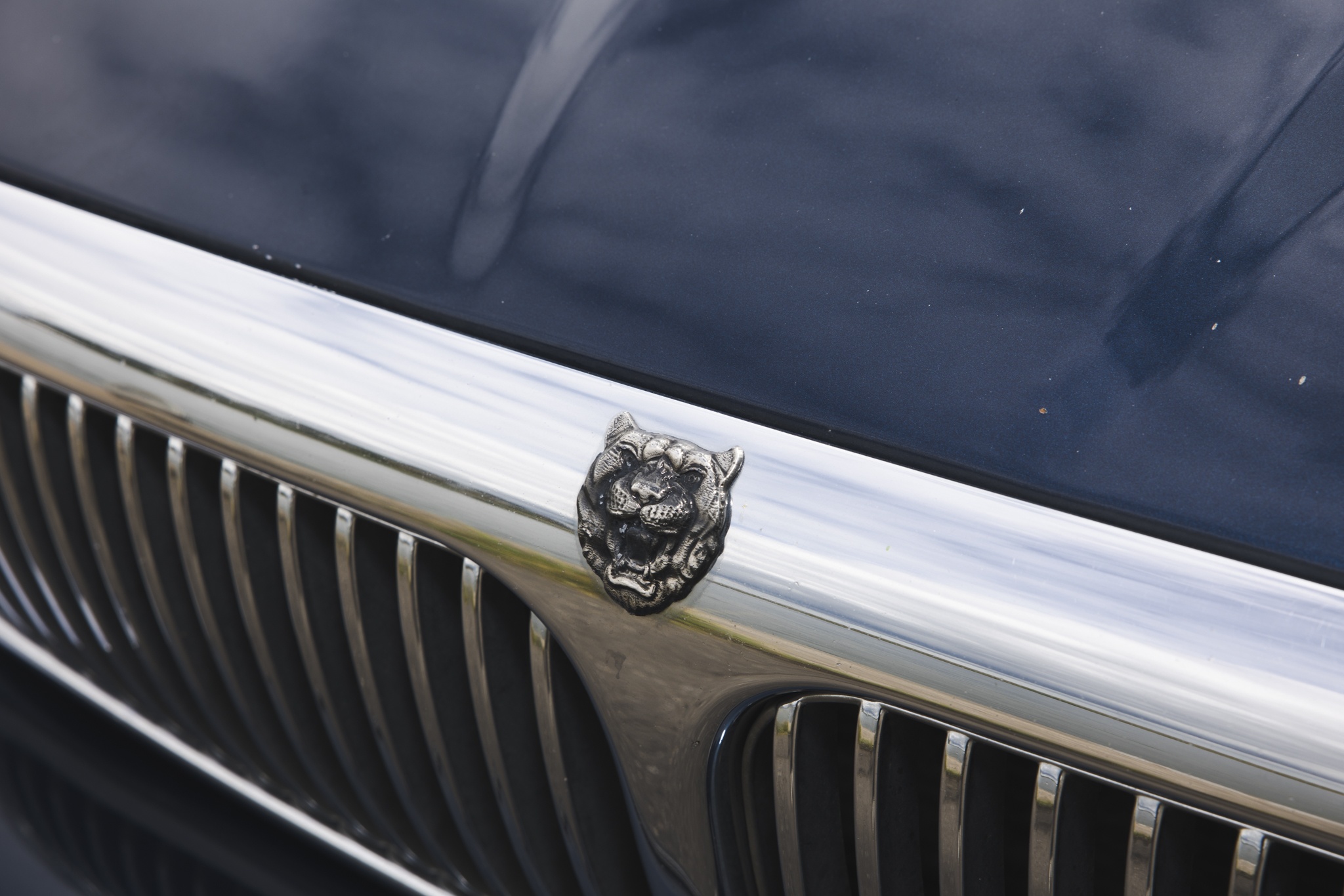 Foto van Jaguar Jaguar Sovereign